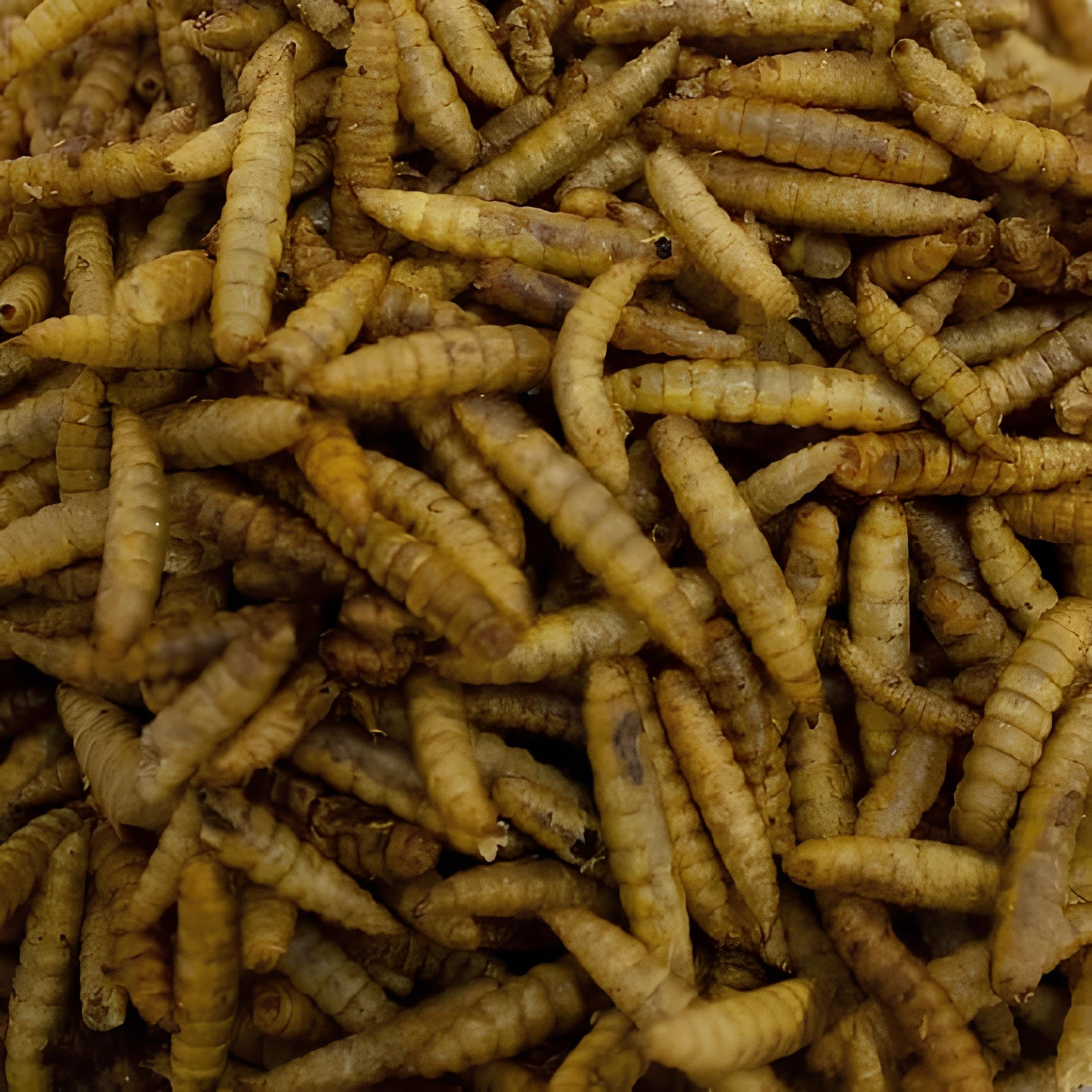 Leagrams Calci Worms for Wild Birds (500g)