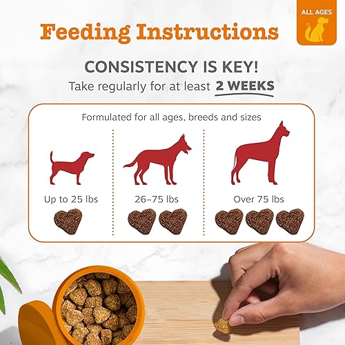 Miniatura 4 de Zesty Paws Masticables suaves para eliminar manchas por lagrimeo en perros - para la humedad ocular + visión y apoyo inmunológico - Suplementos