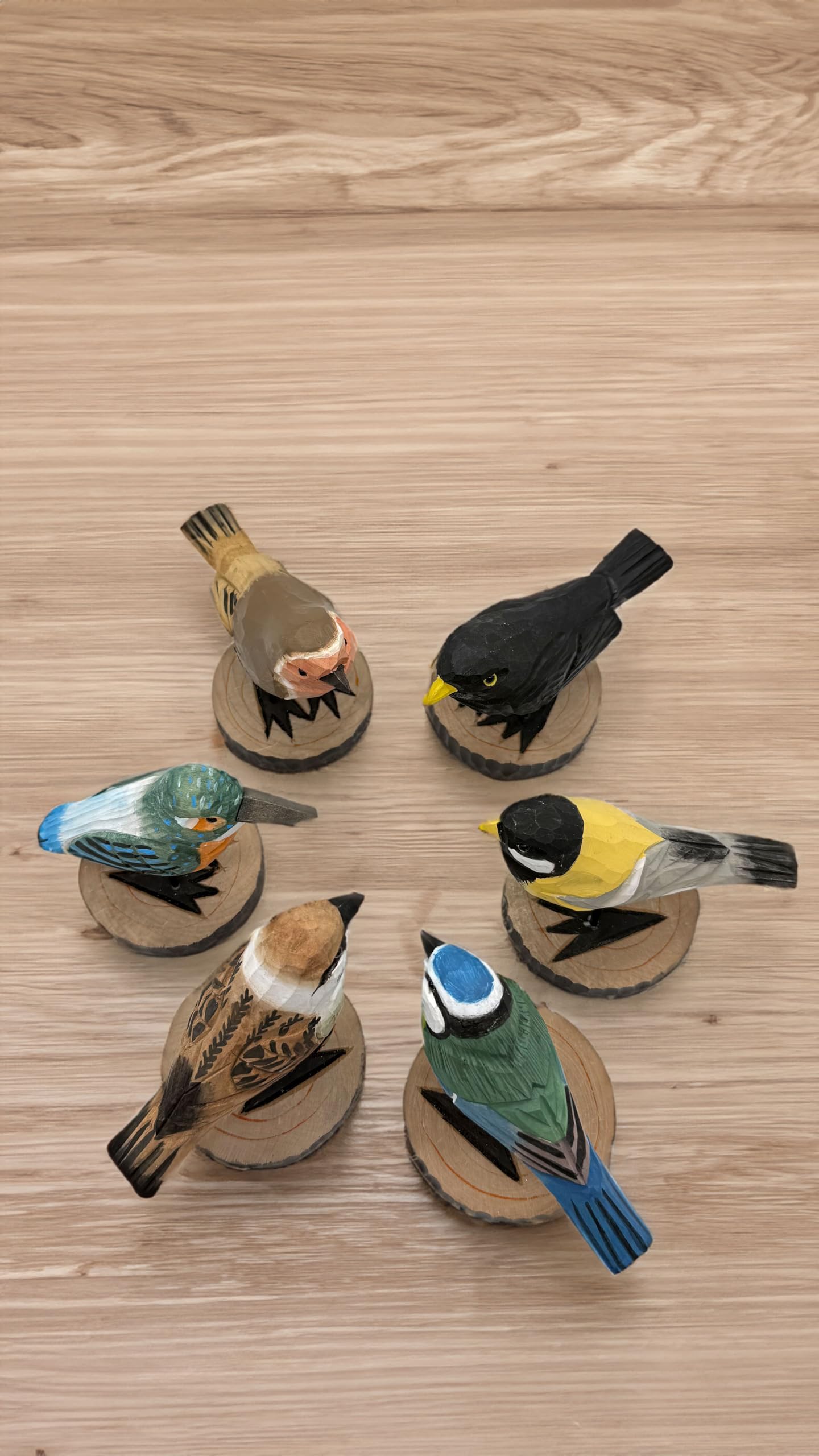 Uccello decorativo in legno su base Set di 6 uccelli da giardino fatti a mano, 12 x 10 cm