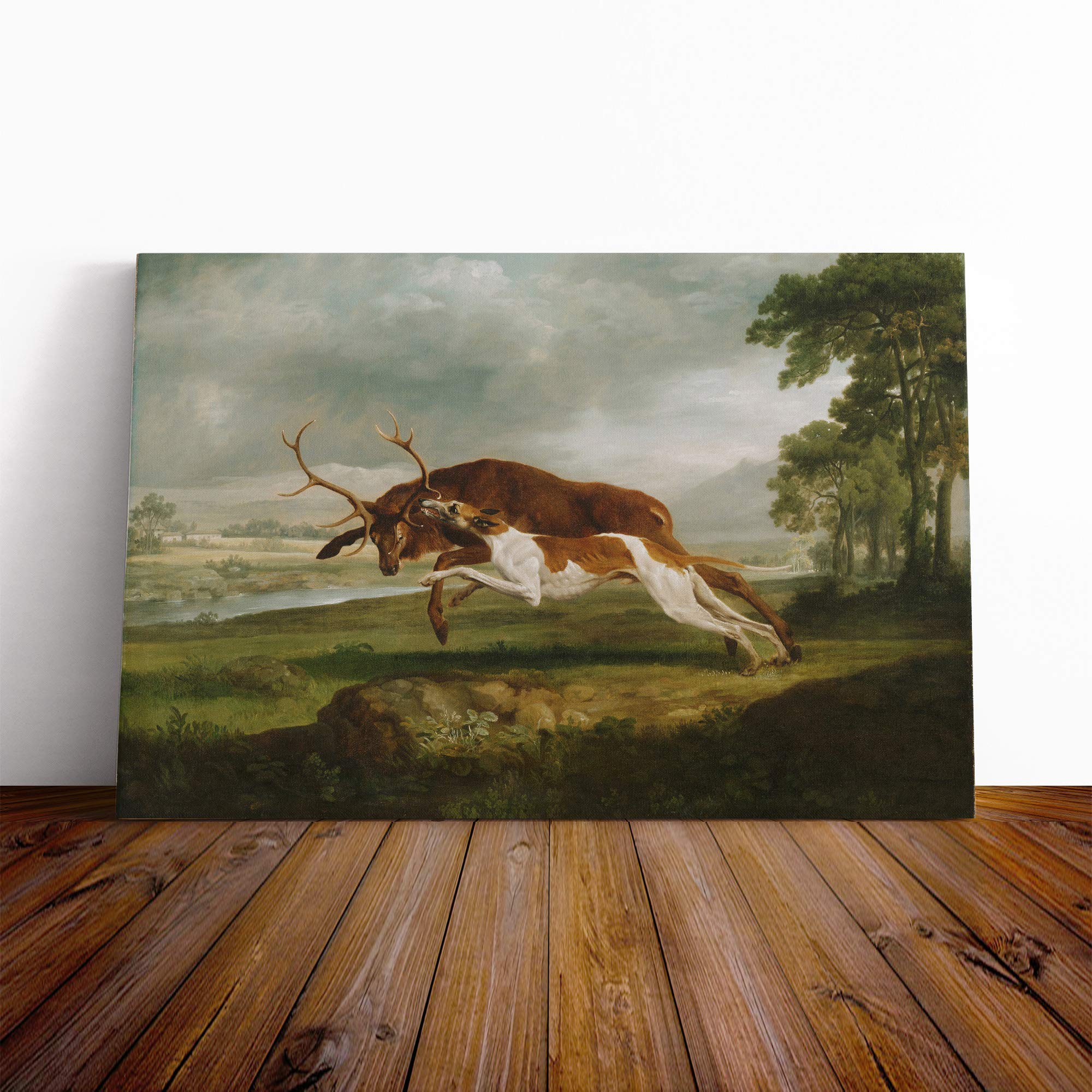 George Stubbs English Hound with a Stag Canvas Print | Gallery Wrapped 30mm Frame Wall Art | 24x16 inches | Ready to Hang | Modern Animals Picture | Living Room Bedroom Lounge Office