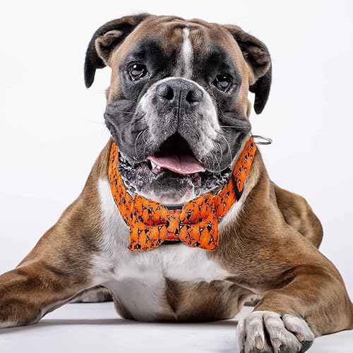 Miniatura 6 de FOTSHARER Collar de perro naranja quemado grande con bonito corbatín de calabaza, fantasma, perros, corbatín, regalo para otoño, Halloween,