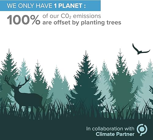 Miniatura 12 de Líquido de plata coloidal 10 fl oz y spray para llenar ● Hidrosol bioactivo Agua de plata ● Apoyo inmunológico natural Solución de suplemento Nano