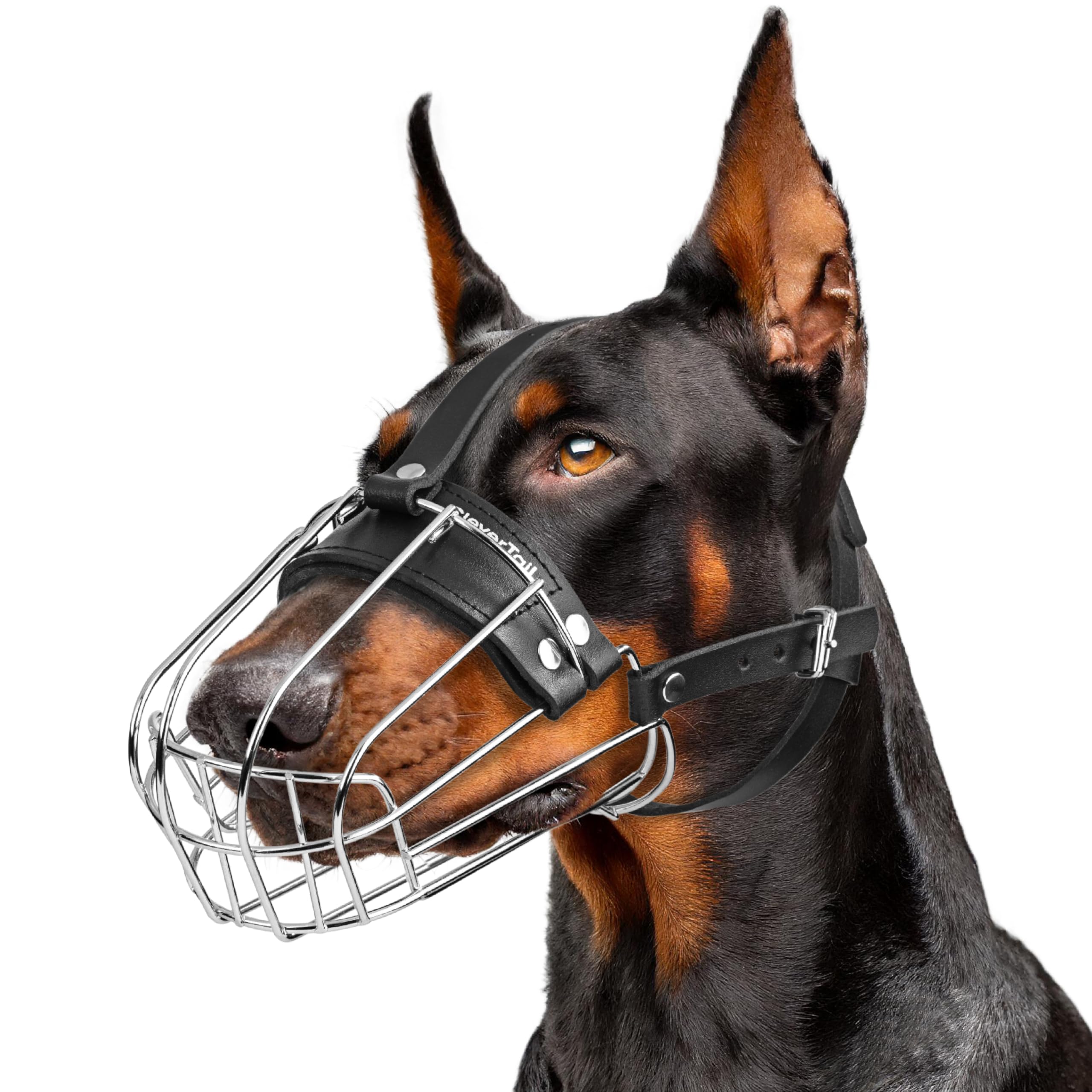 CleverTail Metal Doberman Muzzle for Large Sized Dog, Cage Muzzles for Barking and Prevent Biting