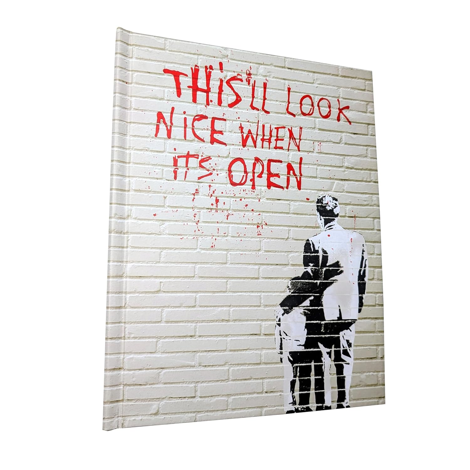 This'll Look Nice When It's Open - Banksy Street Art Pop Up Book      Hardcover – Pop up, April 1, 2025