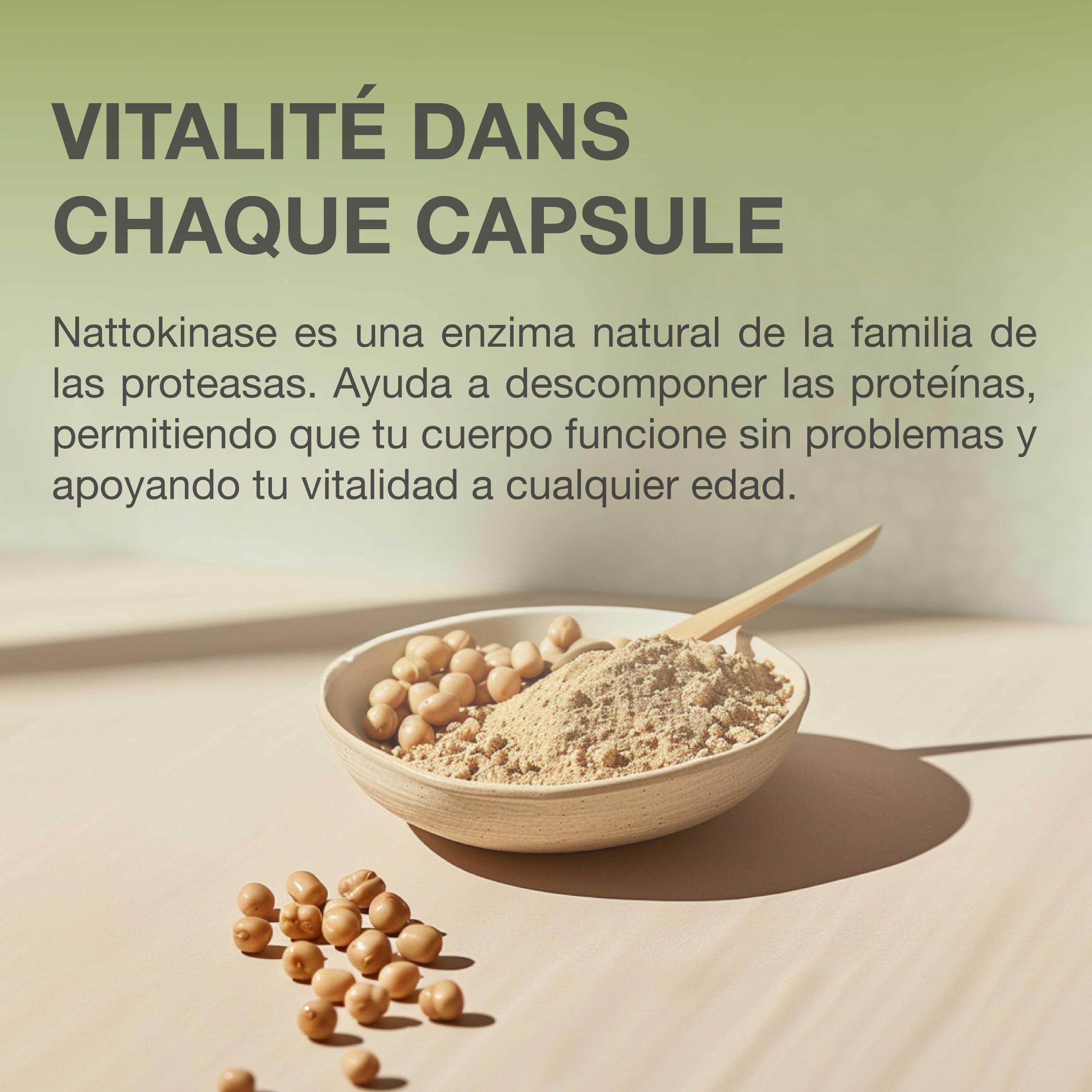Raibu Nattokinase 240 Cápsulas - 100 mg de Alta Potencia (20.000 FU/g) - Suministro para 8 Meses & Vegano - Natto de Soja - Pureza y Calidad Certificadas