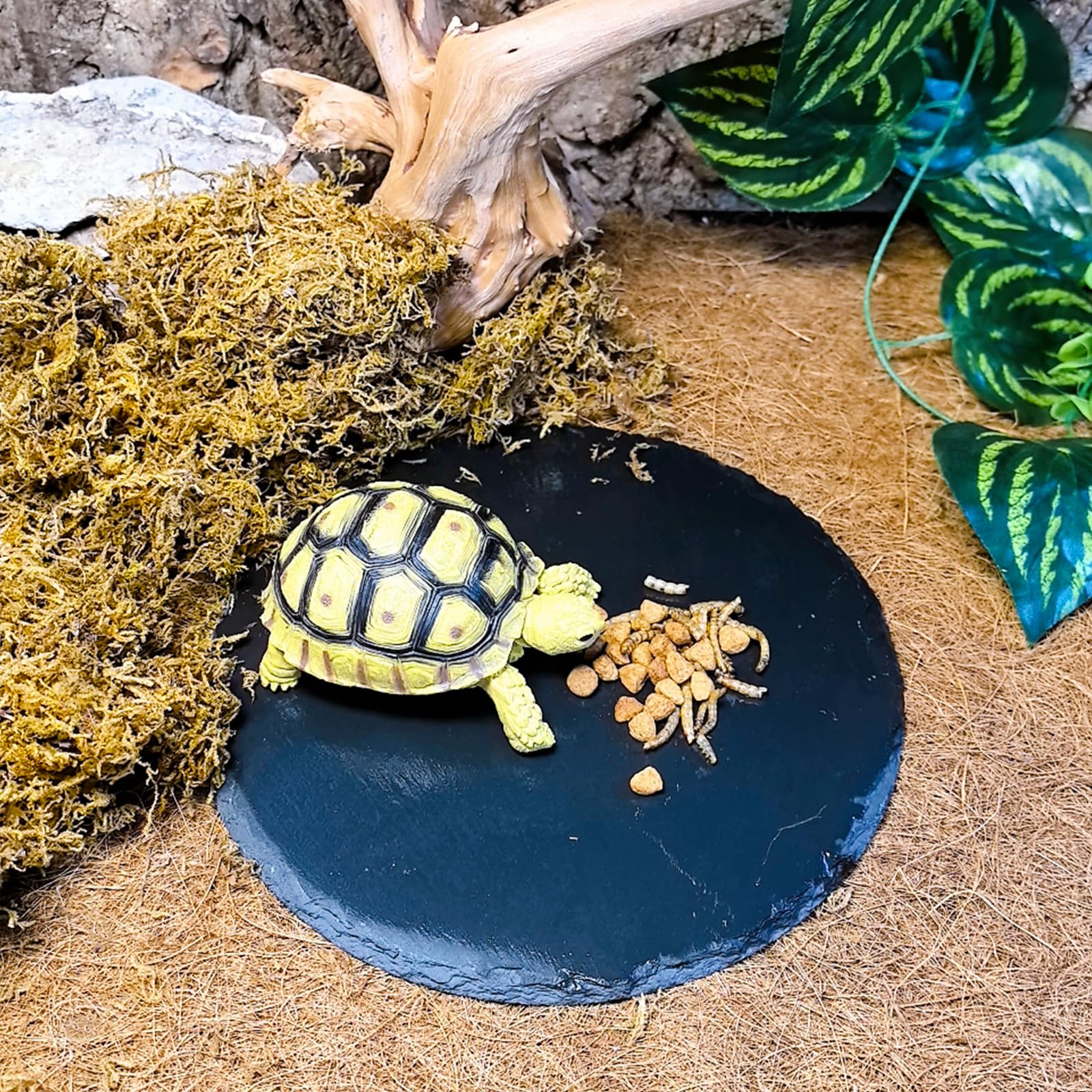 Plateforme Pour Tortue - Accessoire De Décoration Pour Reptiles Amphibiens Leopard Gecko Dragons Barbu Lezard Grenouilles