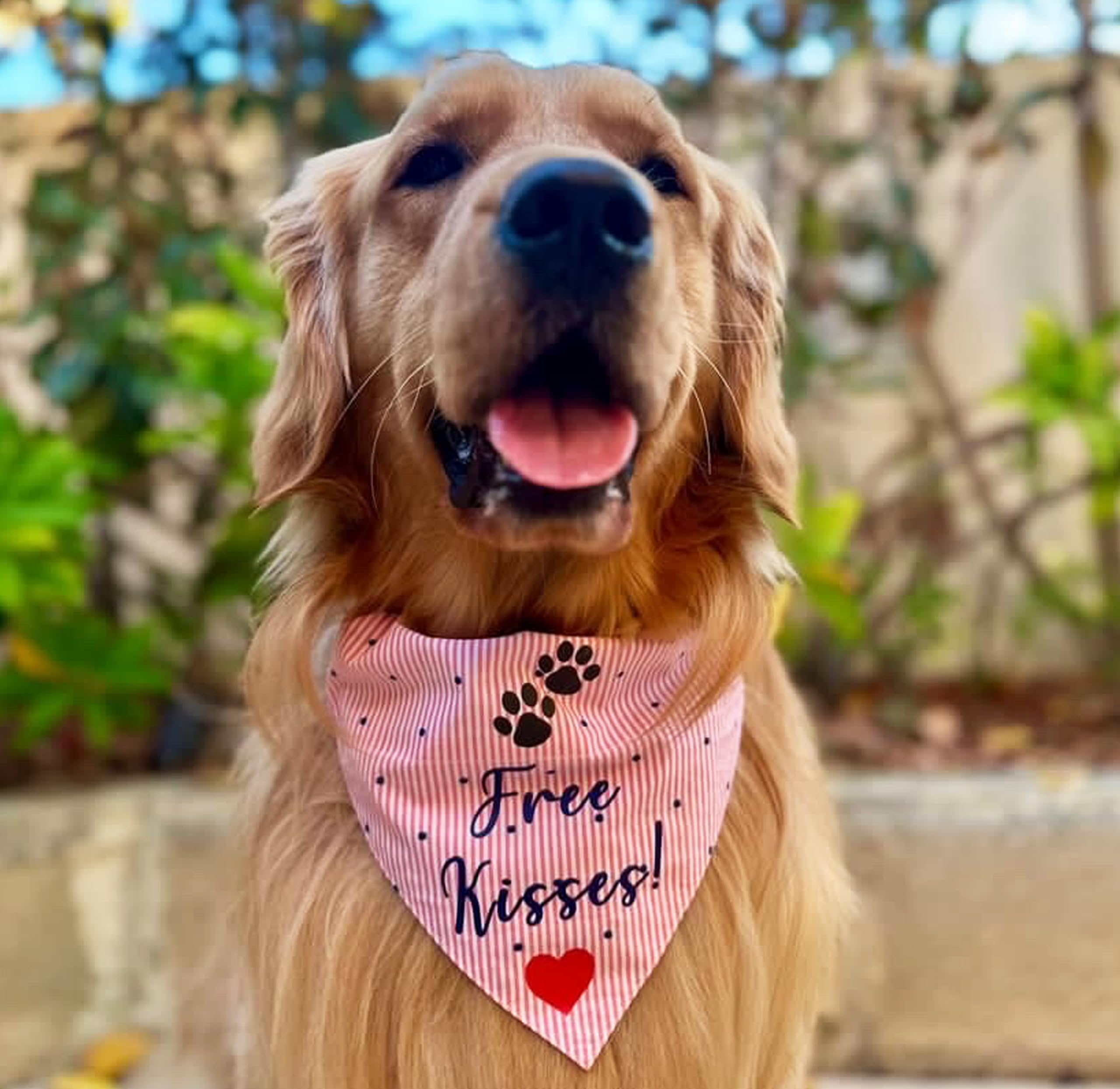 For The Fur Kids Free Kisses Valentines Day Dog Bandana (Pink) (B09GBKMTXB) Amazon Price History, Amazon Price Tracker