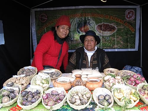 Miniatura 5 de Maca Magic Cápsulas veganas en polvo gelatinizado 100% orgánico (60 unidades)  Superalimento peruano de grado premium  Mezcla de espectro completo