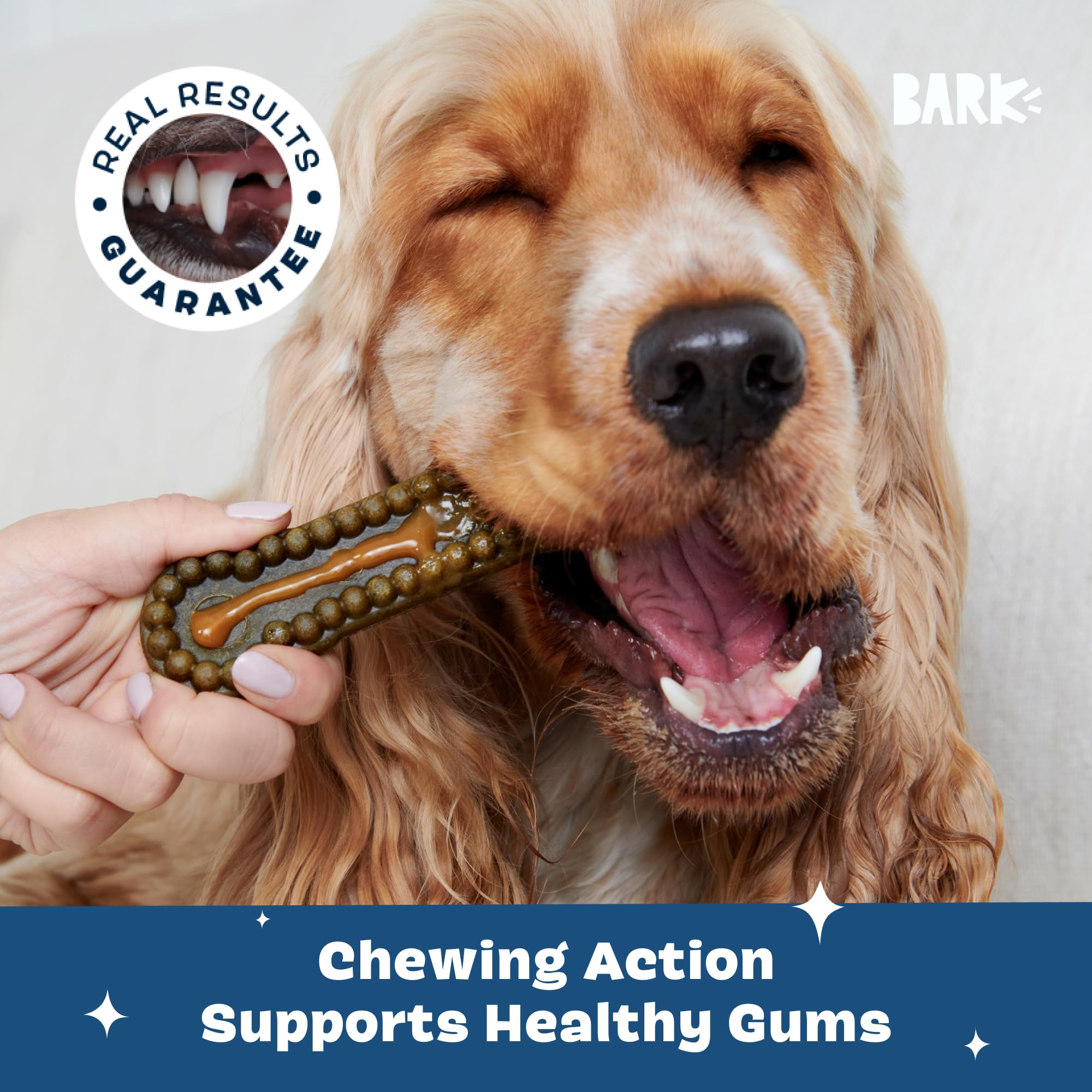 Bark Bright - Kit de masticables dentales duraderos - Kit de cepillado de dientes de perro con masticables de limpieza de dientes y pasta de dientes - Removedor de placa y sarro para dientes más