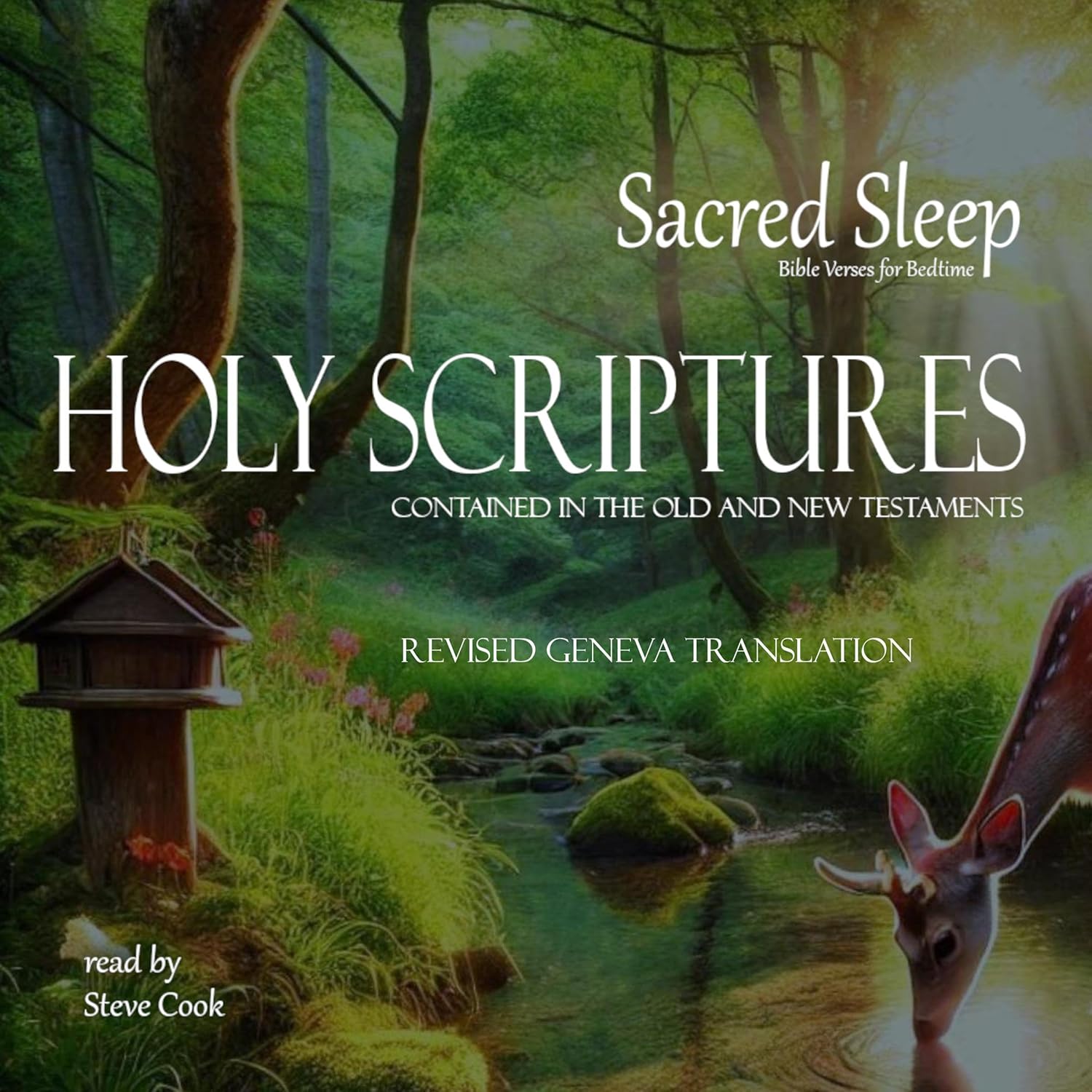 Sacred Sleep: Holy Scriptures    
	                
	            

                 
                        Audible Audiobook 
                  
                        – Unabridged