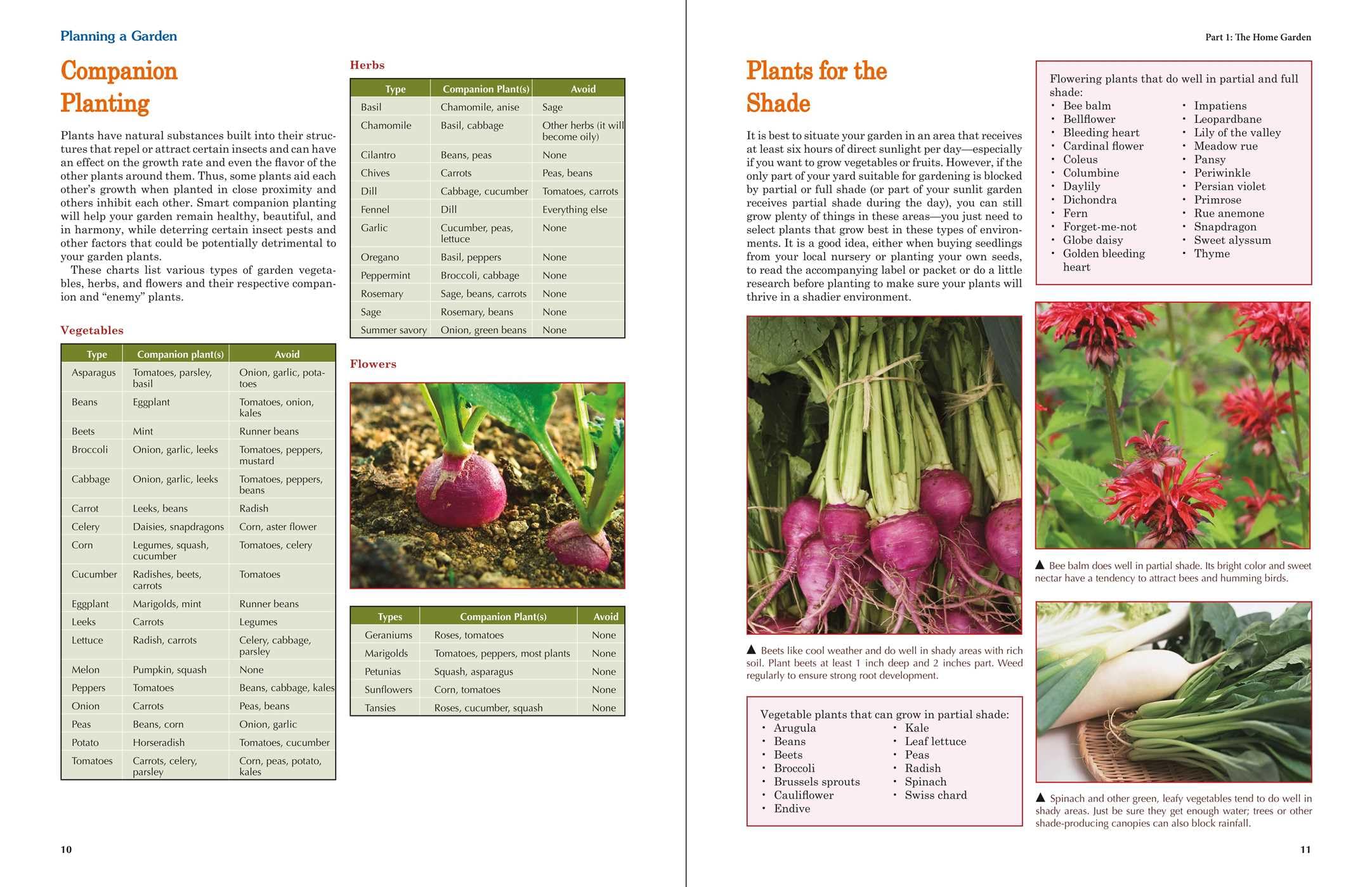 Homesteading: A Backyard Guide to Growing Your Own Food, Canning, Keeping Chickens, Generating Your Own Energy, Crafting, Herbal Medicine, and More
