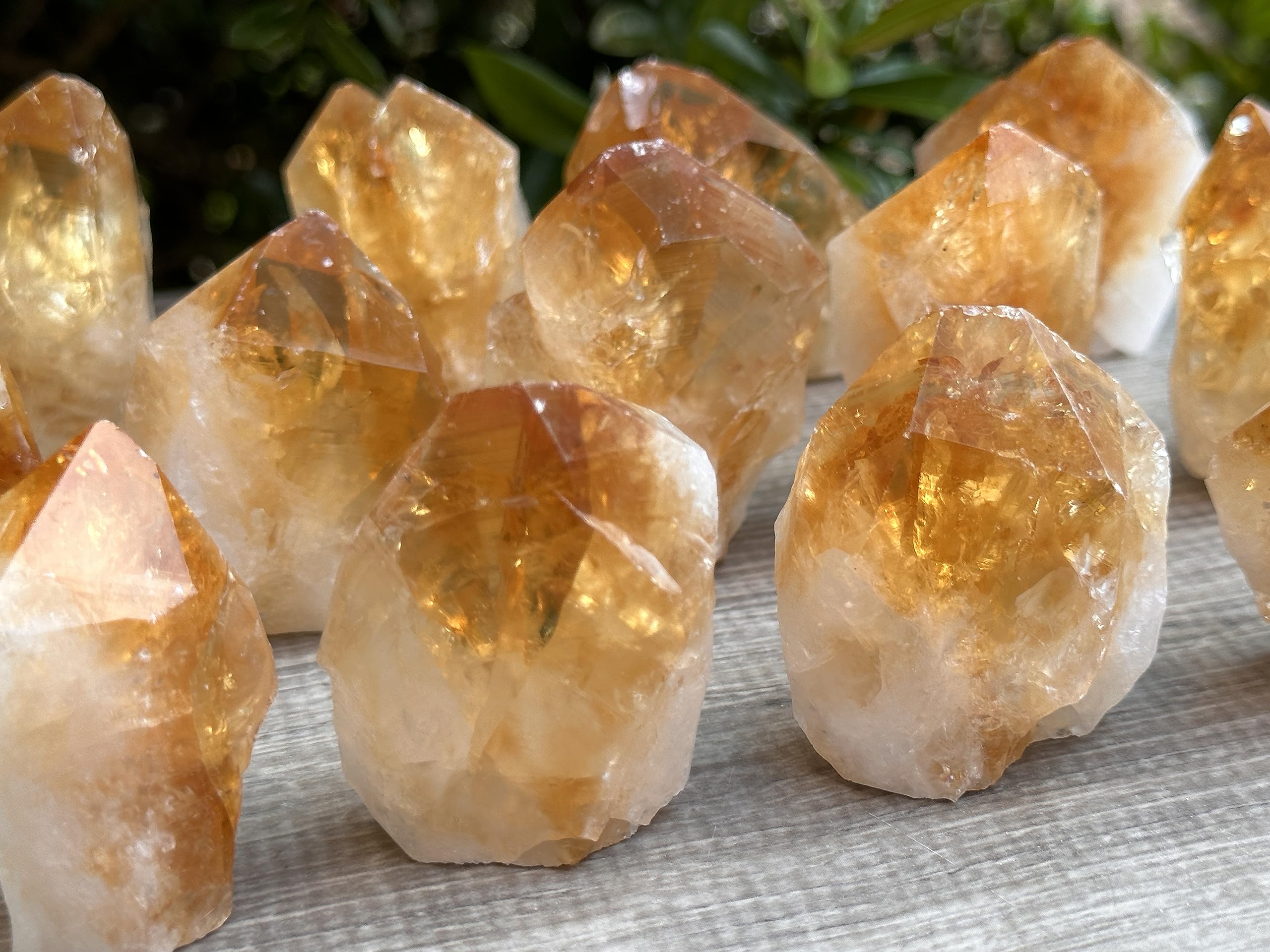 GAF TREASURESGAF TREASURES Standing Citrine Top Polished Rough Point, Deep Orange Citrine Crystal Point Cut Base, Money Stone, Success Stone (1-2 oz)