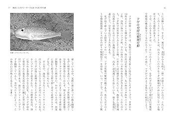 実験生物学講座 １４/丸善出版（単行本） Amazon.co.jp: 最前線に立つ研究者15人の白熱!講義 生きものは