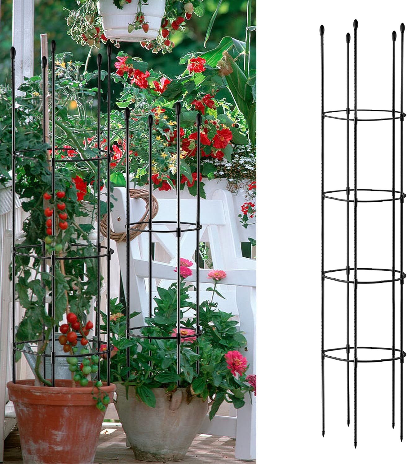 WDDH Plant Support Cage for Pots, 6 Feet Tall Assembled