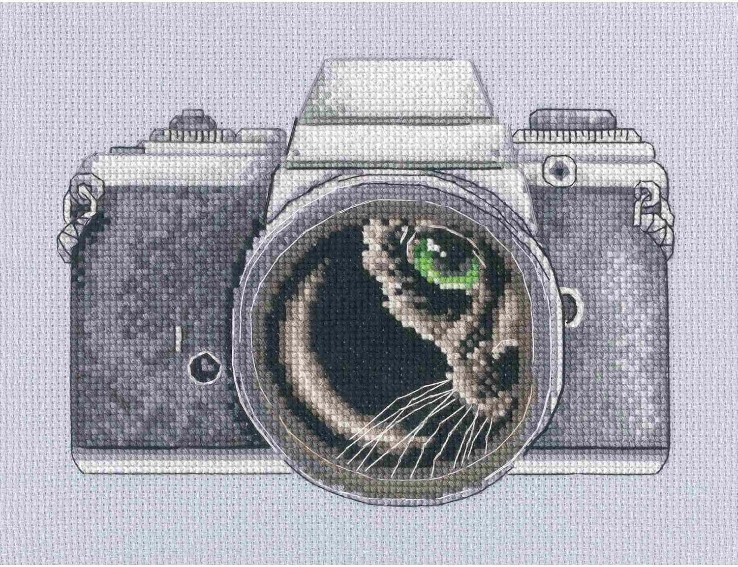 RTO Counted Cross Stitch Kit, Cat Portrait Design, 17.5 x 13 cm / 6.9"x5.1", Embroidery Needlework DIY
