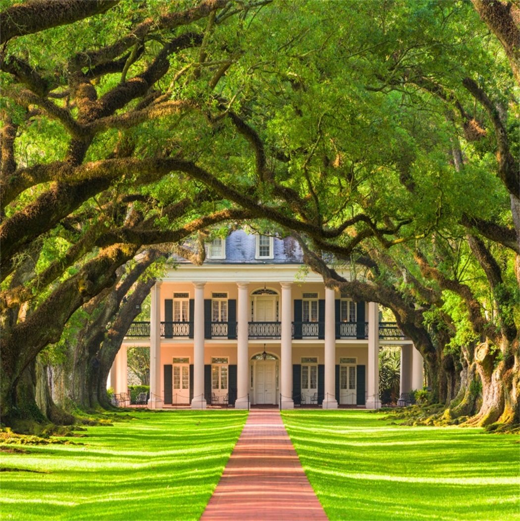 Baocicco 10x10ft Wedding Backdrop Oak Alley Plantation Archway Green Grass Lawn Pathway Photography Background Wedding Birthday Ceremony Honeymoon