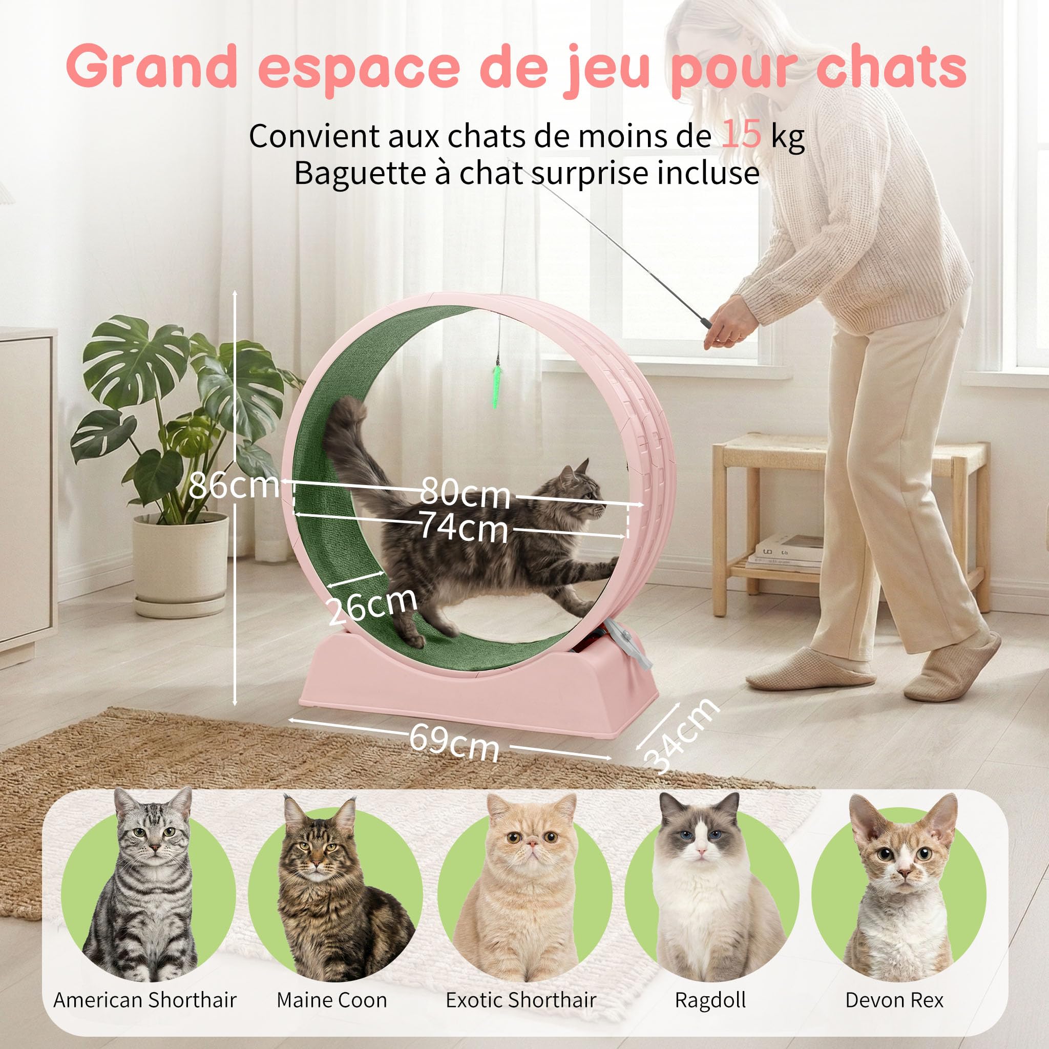 LEADZM Roue d'exercice pour Chat 80cm - Roue pour Chat pour 15 kg et Moins Chats - Connecteur de Rail en Plastique, résistant aux Rayures, Stable et Silencieux (Rose)