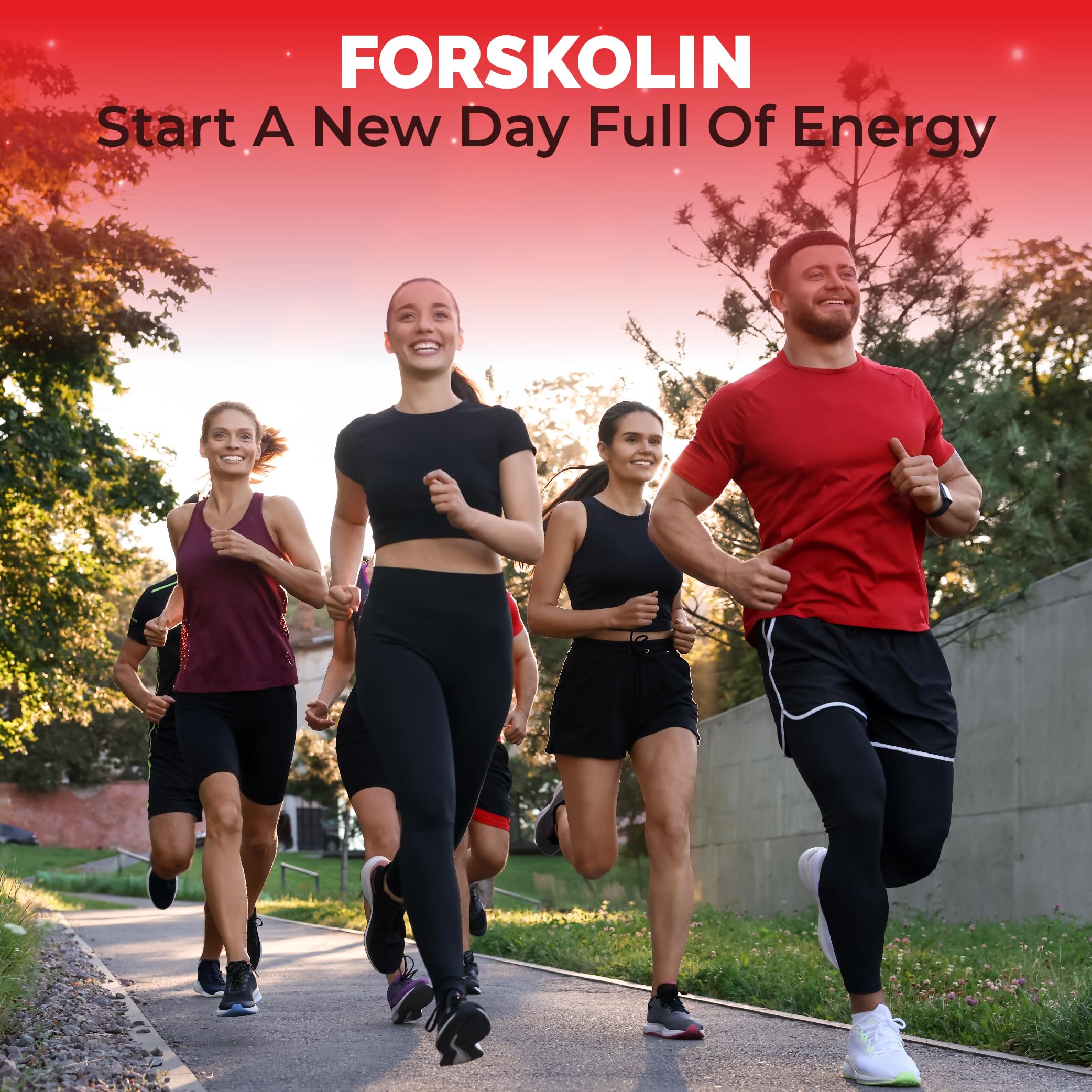 Cadane Forskolin Supplement with Garcinia Cambogia, Gymnema Sylvestre, Cinnamon Bark and More - Vegan, Non-GMO – 120 Capsules – 60-Day Supply — Amazon image 7