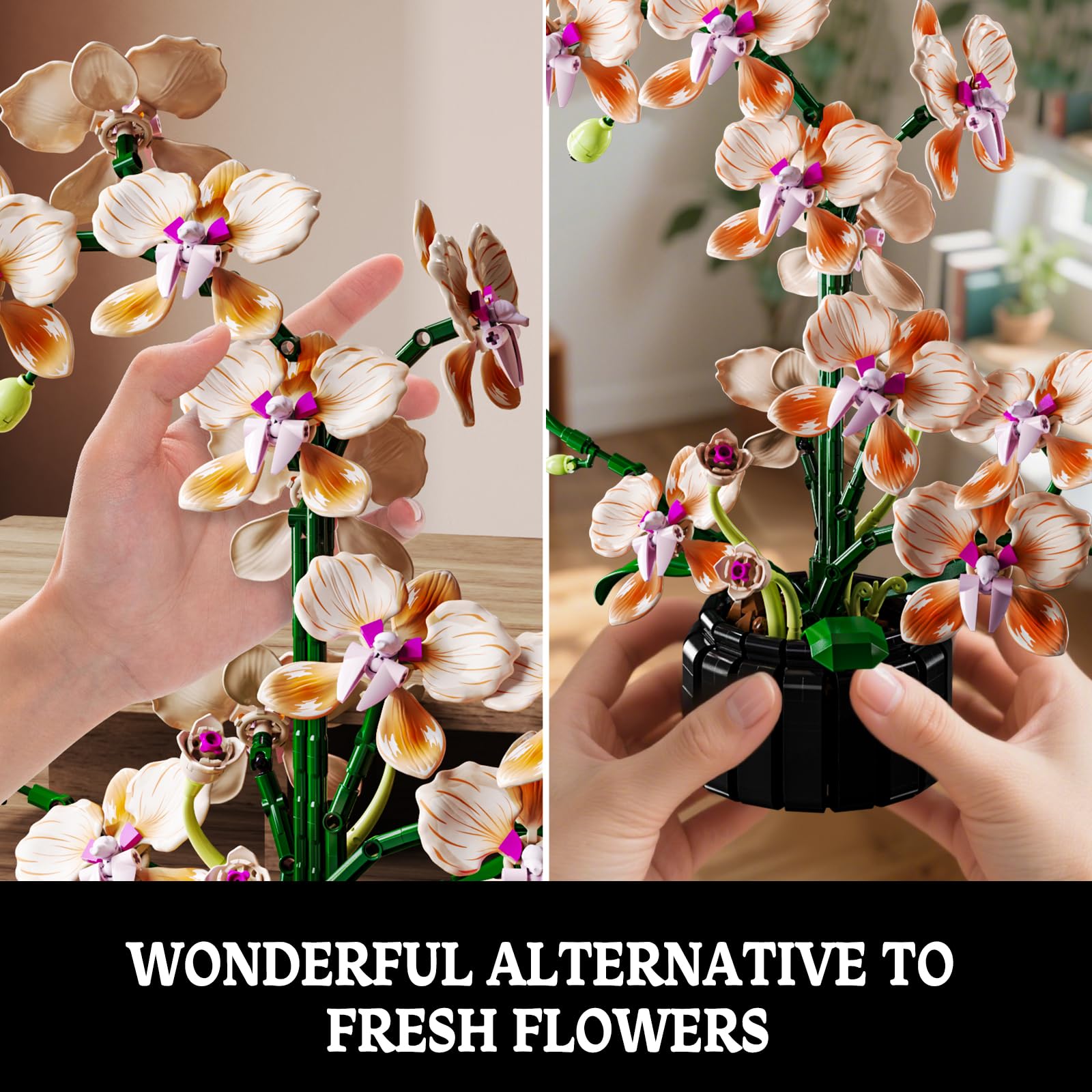 Amazon.com: Champagne Orchid Flower Building Set, Icon Flowers