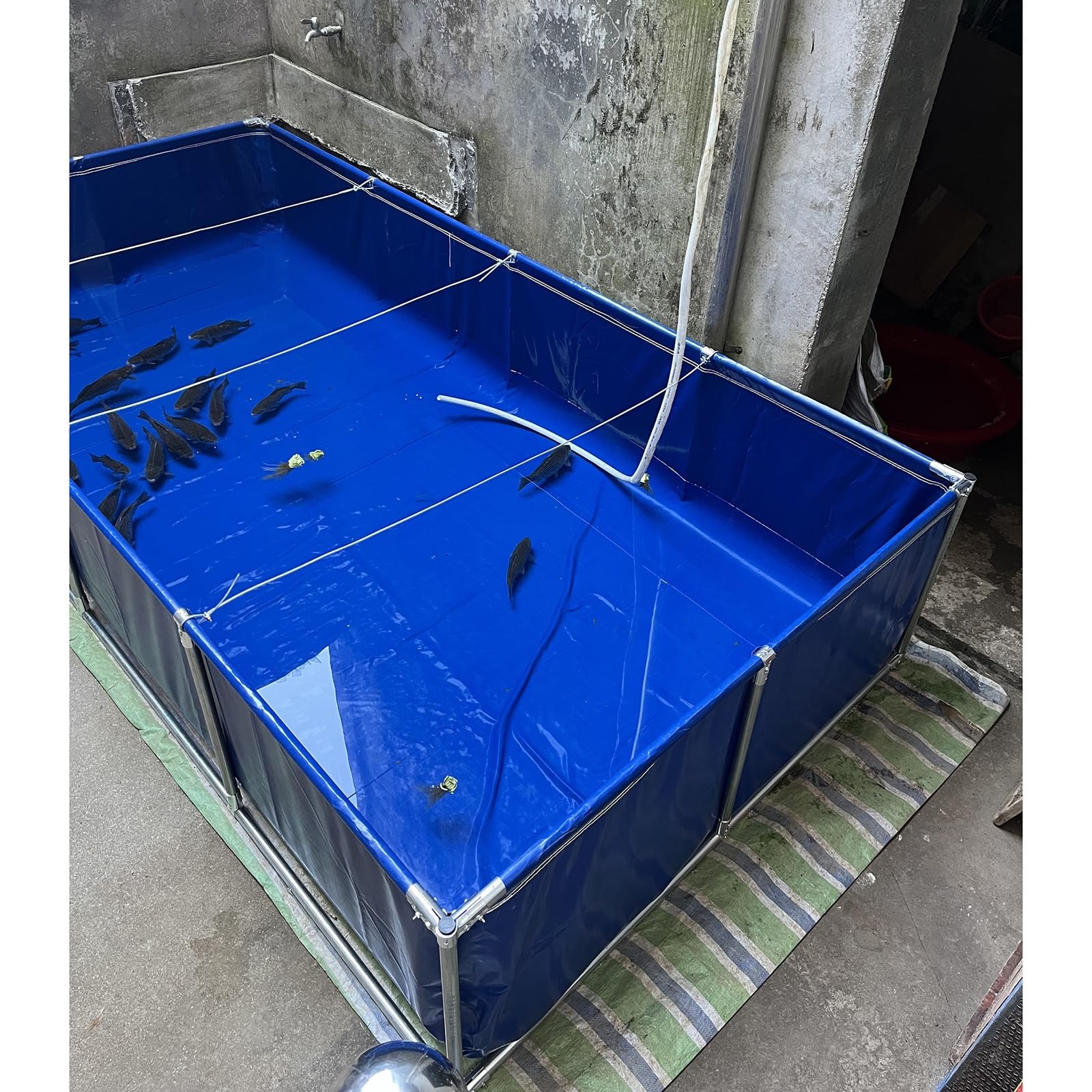 Aquarium pliable de jardin pour la détente en famille et l'élevage de vos poissons