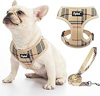 PUPTECK No Pull Mesh Dog Harness & Leash Set for Small Dogs & Cats - Soft Breathable Padded Vest, Beige Size S (XS Fit)