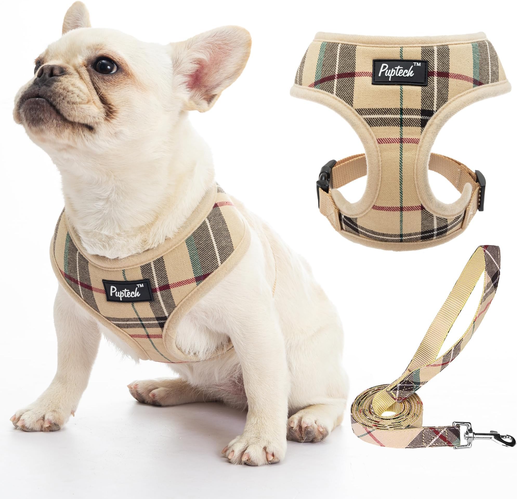 PUPTECK Dog Harness Small Dog Soft Mesh Pet Puppy Cat Comfort Padded Vest No Pull Harnesses and Leash Set