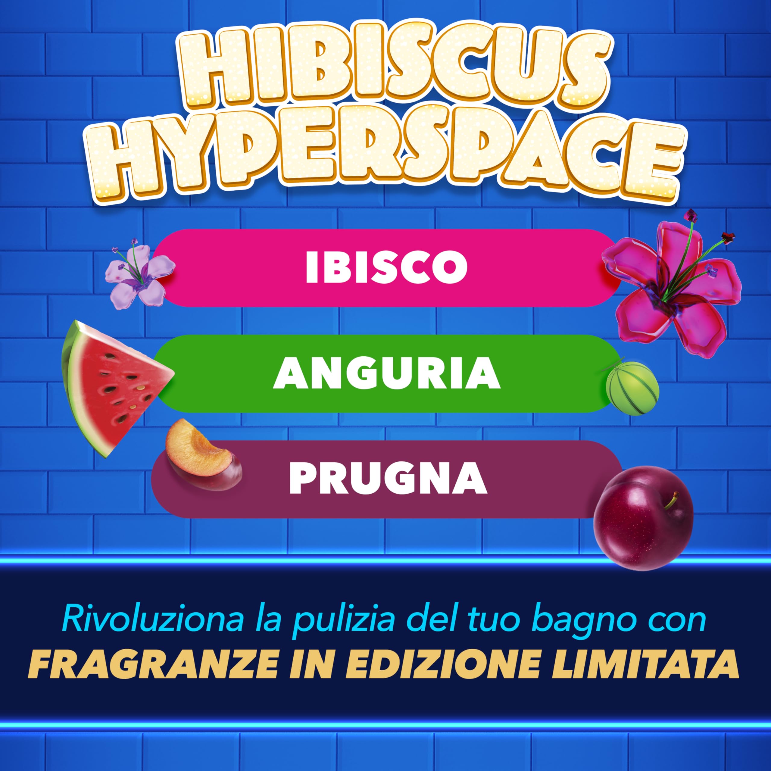 Duck Fresh Discs - Dischi Gel Igienizzanti WC, Fragranza Ibisco, Anguria & Prugna, Formato Scorta da 10 Ricariche e 60 Dischetti