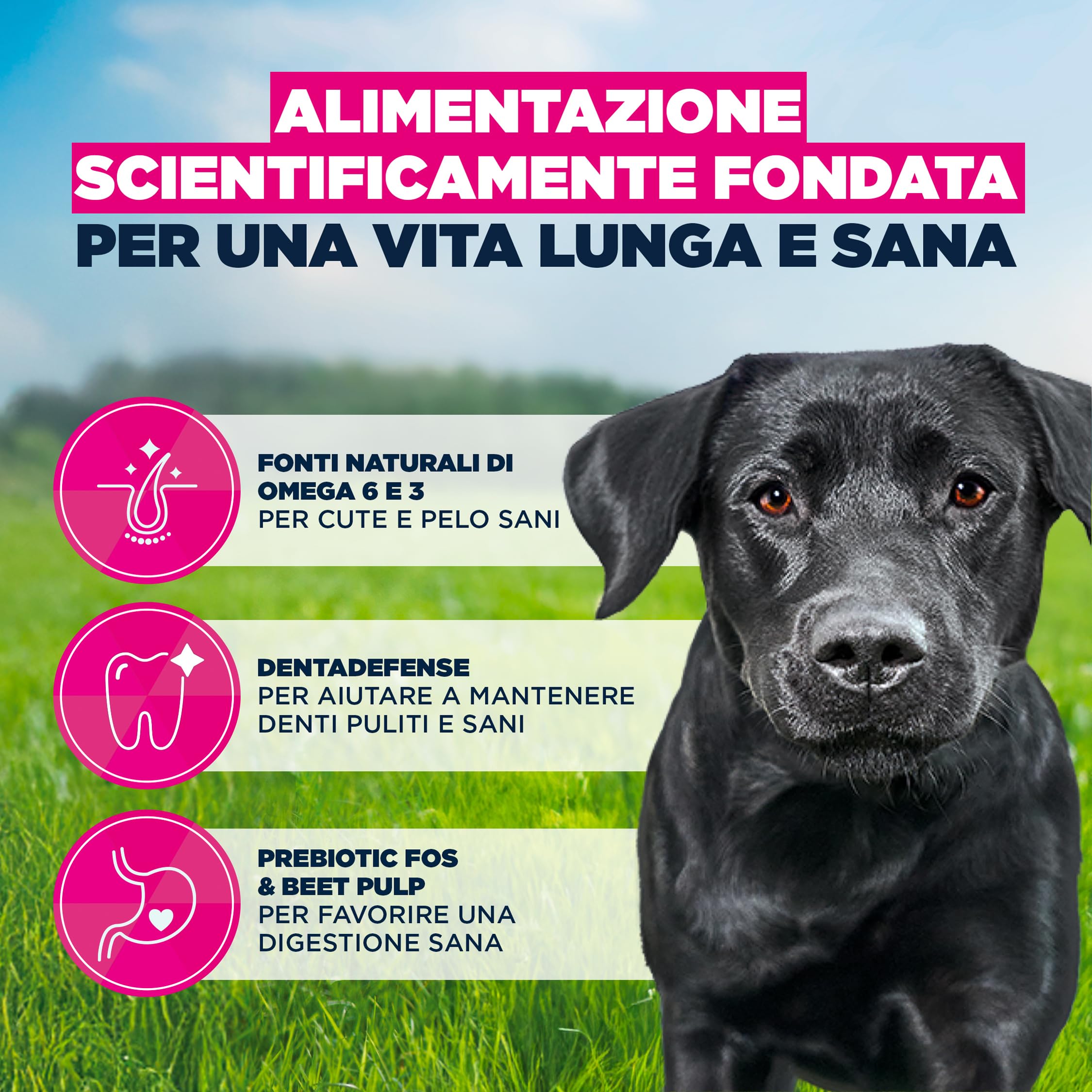 EUKANUBA Cibo secco per Cani con pollo fresco per razze di taglia grande, 15 kg