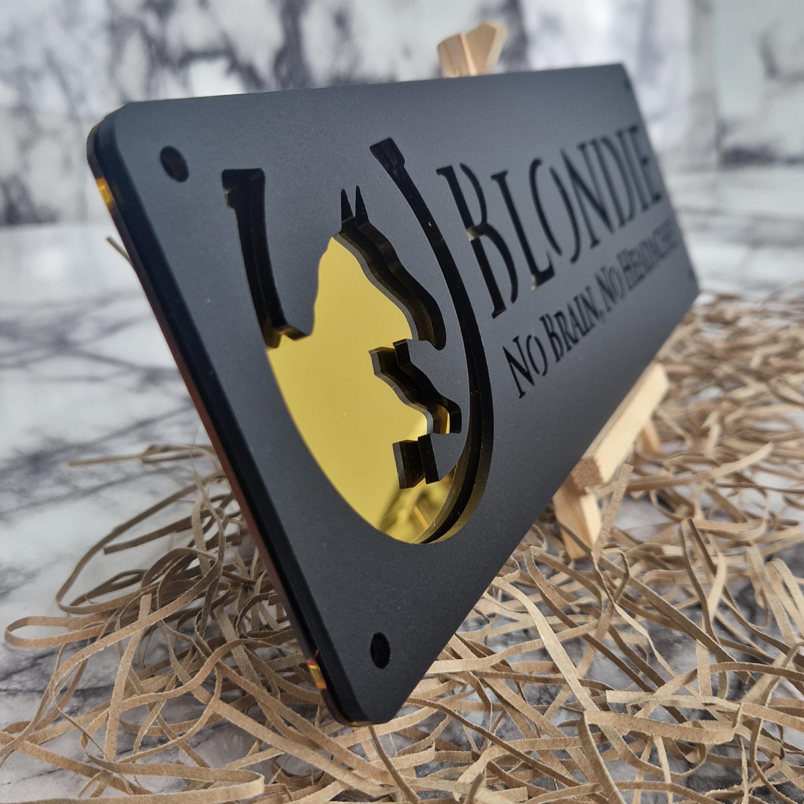 Personalised Horse stable Pony laser cut black mirror Personalised name door plate sign (L5-Mum and Foal)