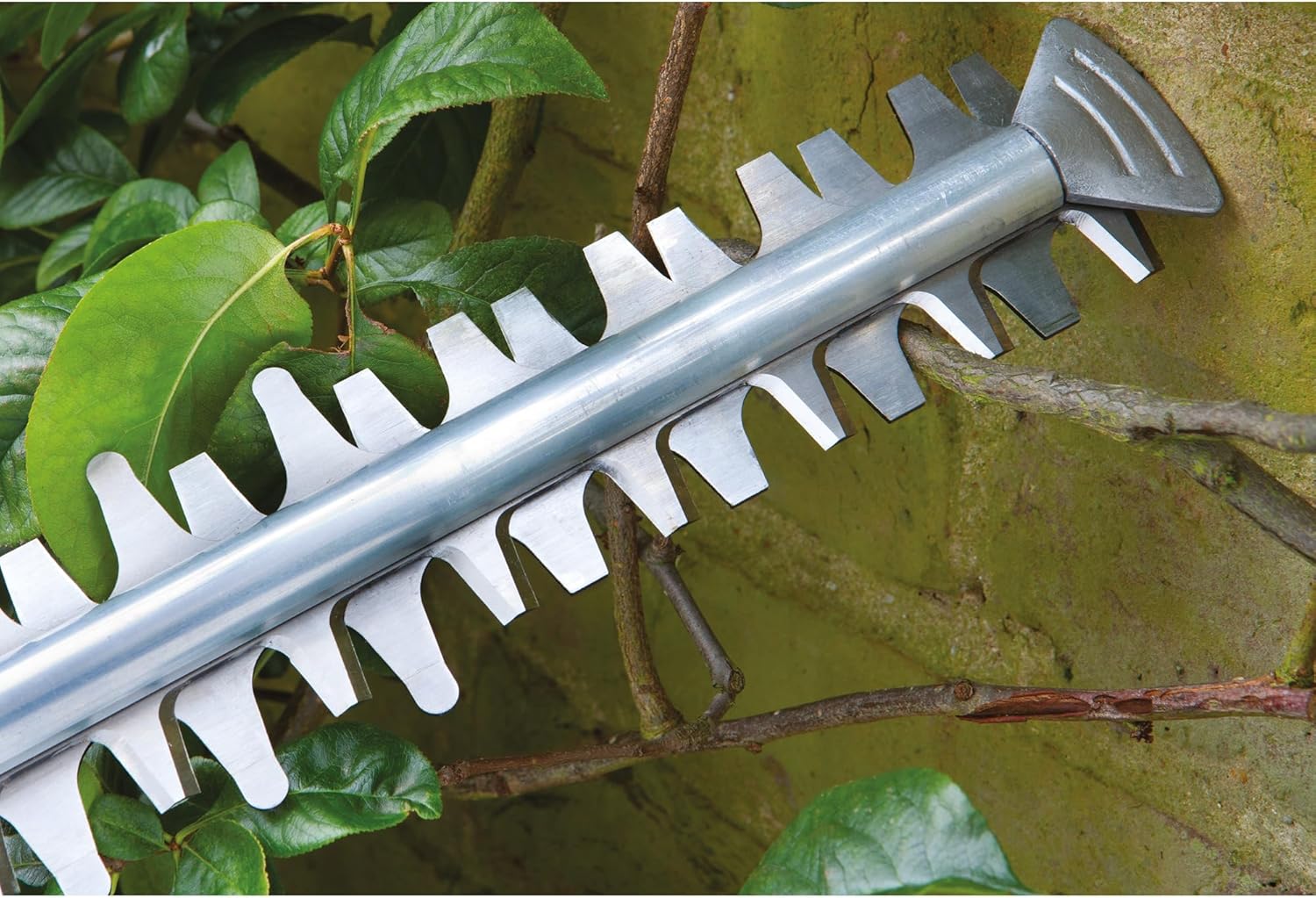 SKLNXAZ SKoorj-GGGGI381