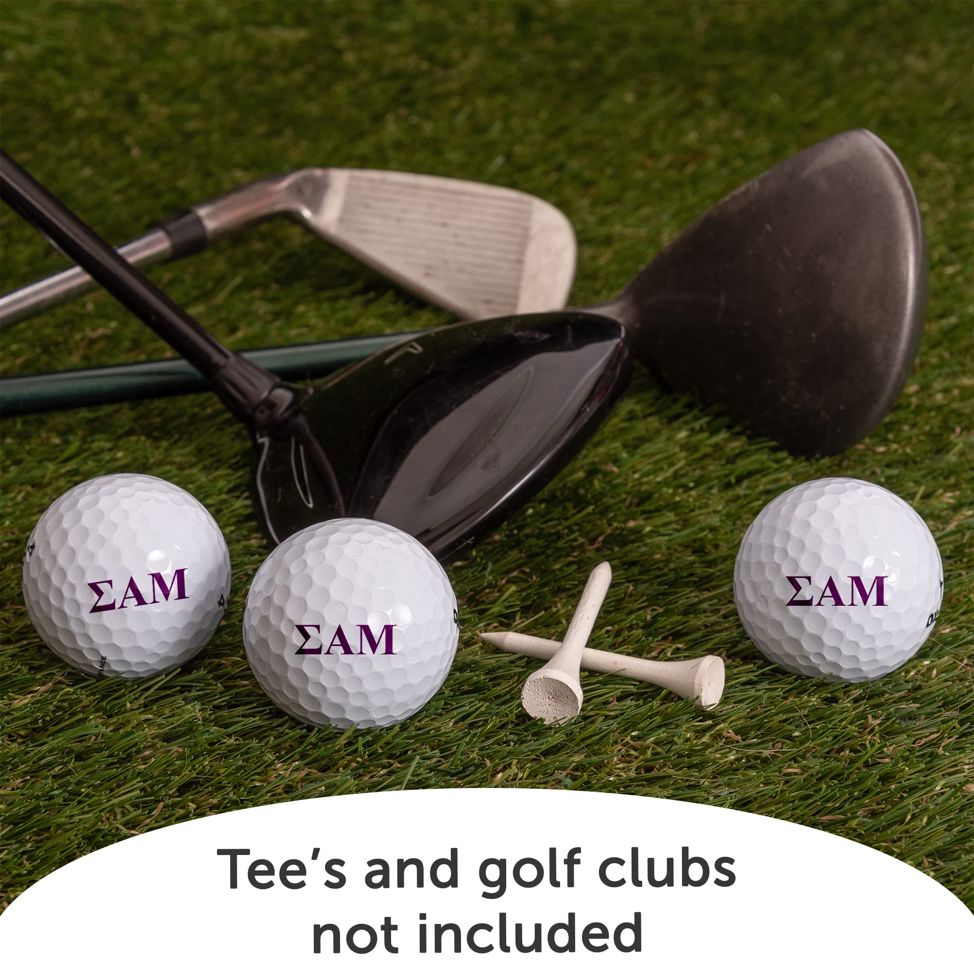 Desert Cactus Sigma Alpha Mu Golf Balls 3 Pack Full Color Golf Ball (Letter)