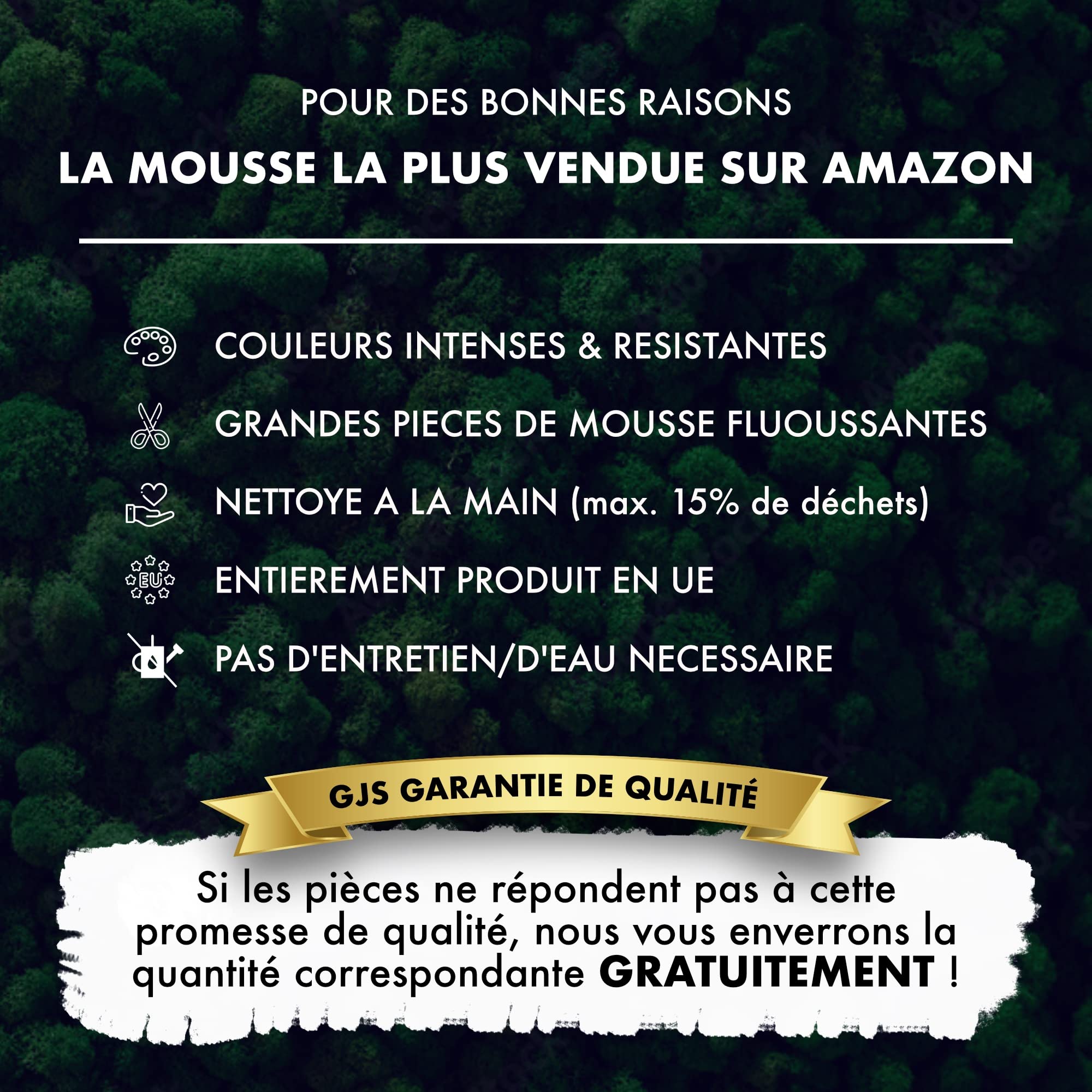 GJS Mousse de Renne - 1kg / 500g / 200g, différentes Couleurs - Vraie Mousse Naturelle (Islande) conservée (Vert Feuille, 1kg)