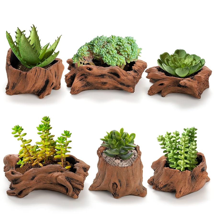 Amazon｜Hiceeden 人工流木プランター 多肉植物ポット 6個セット