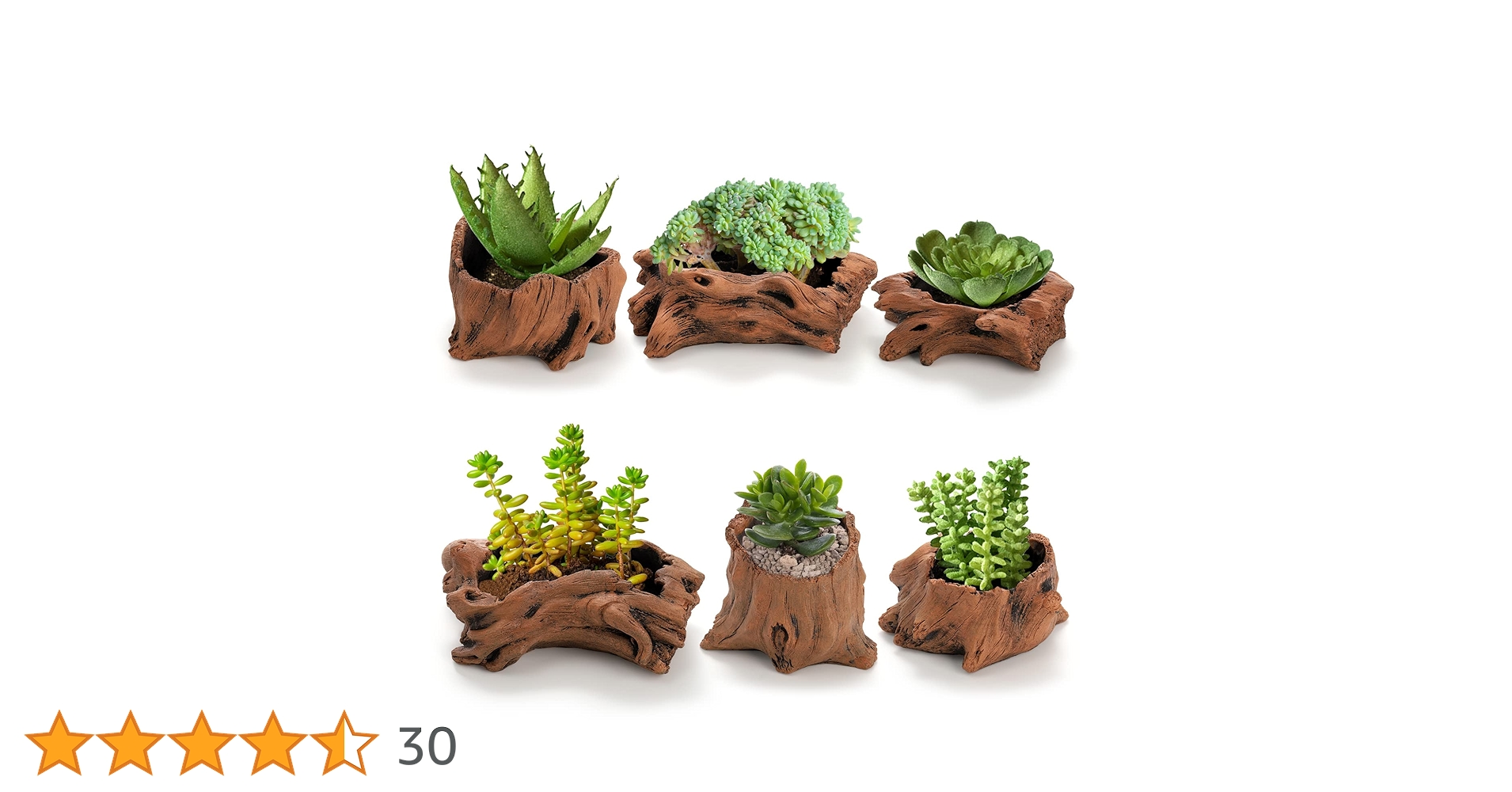 Amazon｜Hiceeden 人工流木プランター 多肉植物ポット 6個セット