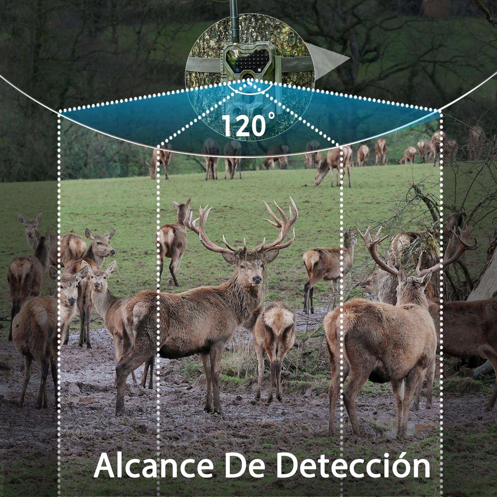 Meidase P300 Cámara de Caza, WiFi Bluetooth 50m Alcance de Conexión, Doble Antena, 64mp 1296p, Visión Nocturna, Activación Movimiento, Ip66 Impermeable, Transferencia App, Monitoreo Exterior