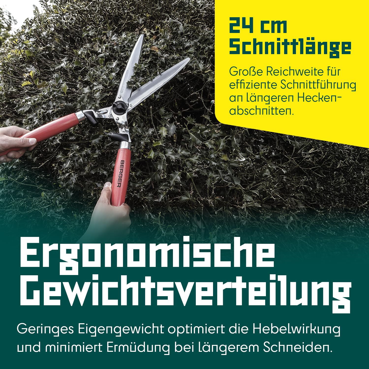 BERGER Heckenschere 4490 mit Buchenholzgriffen | Heckenschere manuell mit 24 cm Schnittlänge | Gerade Klingen & Anschlagdämpfer | Handheckenschere mit 2 Saftrillen | Astabschneider | Made in Germany