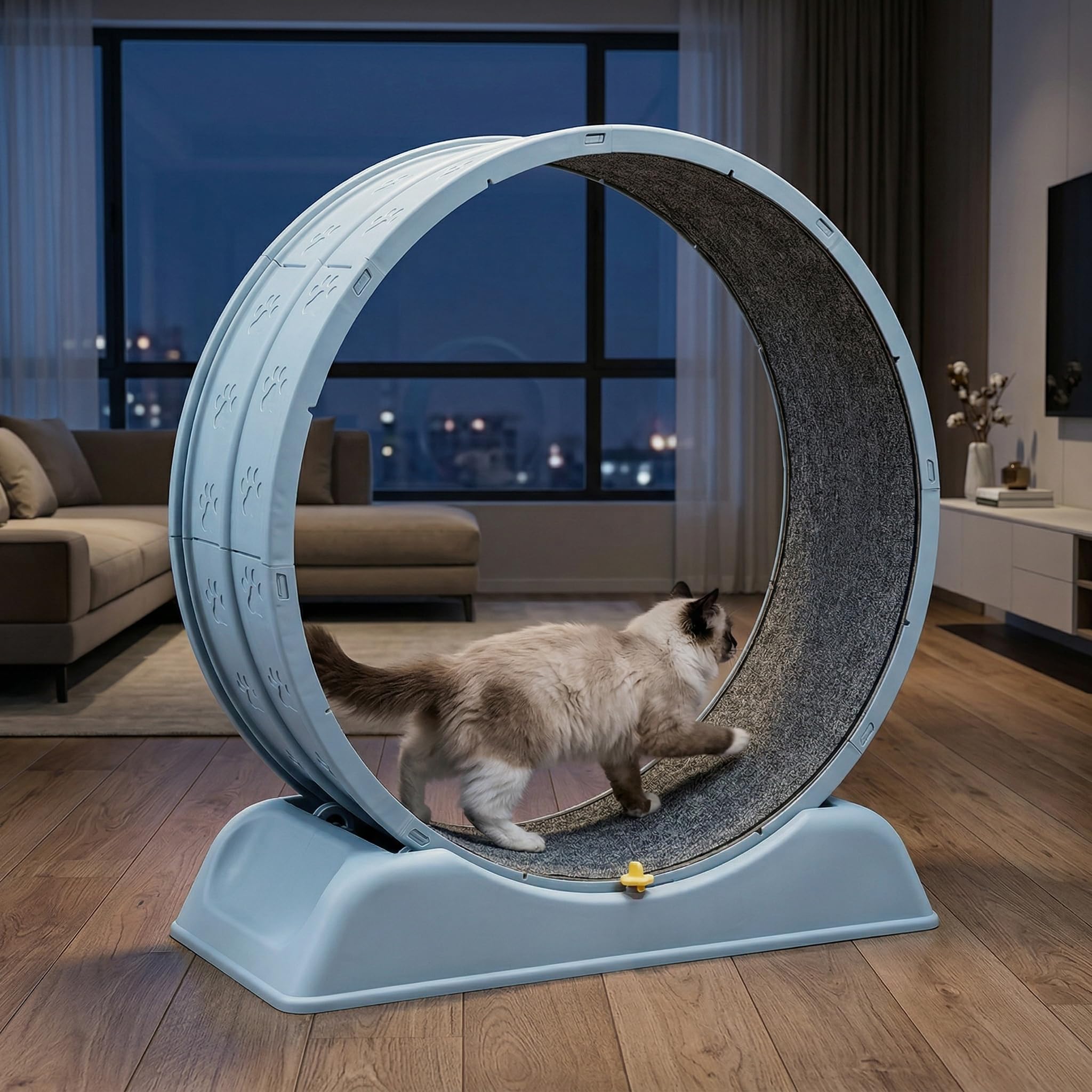 Rueda de ejercicio para gatos ShkitAelling, rueda de 80 cm para gatos domésticos, con mecanismo de bloqueo y suave revestimiento interior para correr, entrenar y entretener