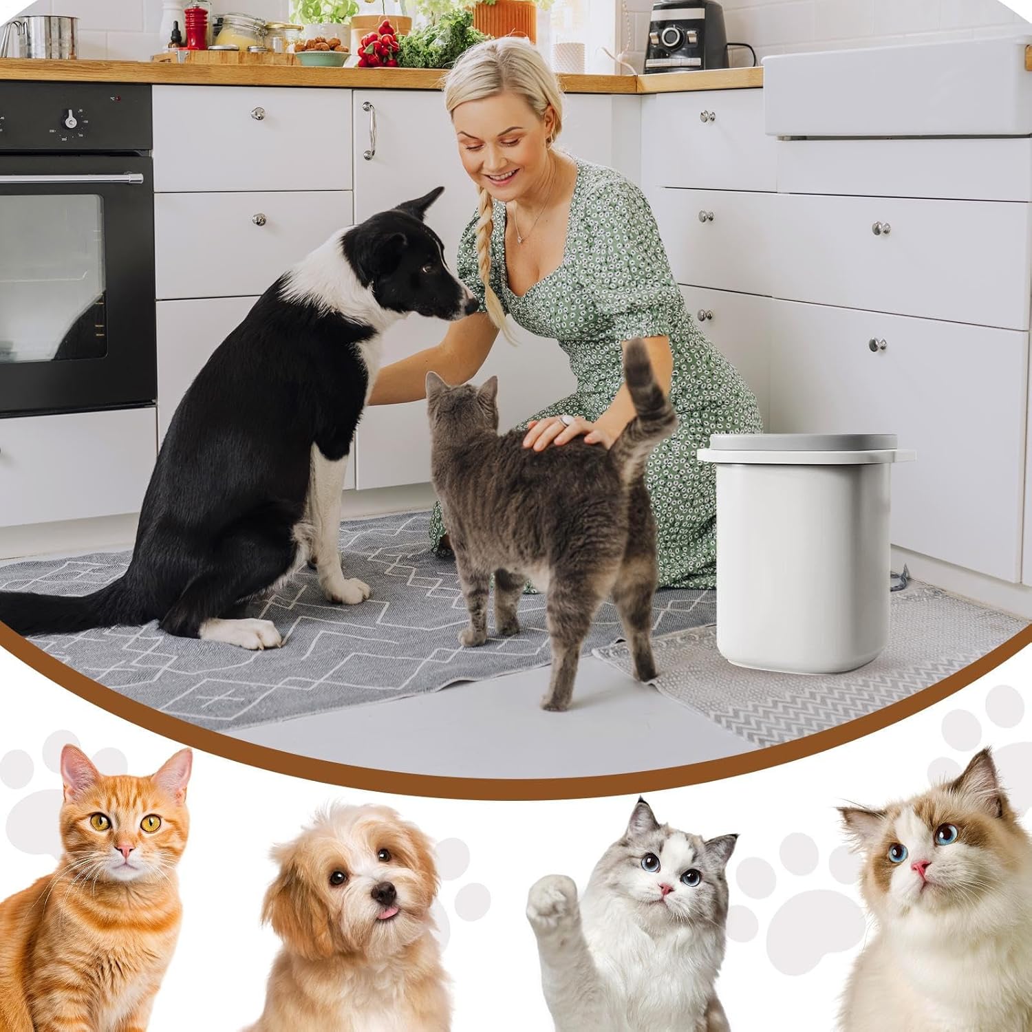 Airtight Food Storage Container – Sealed Lid Bin, Moisture-prooff Portable Feeding Box, Durablee Compact Organizer | Clear Easy-Carry Cat Supply Holder, Camping Travel Outdoor Home Feeding For Cats