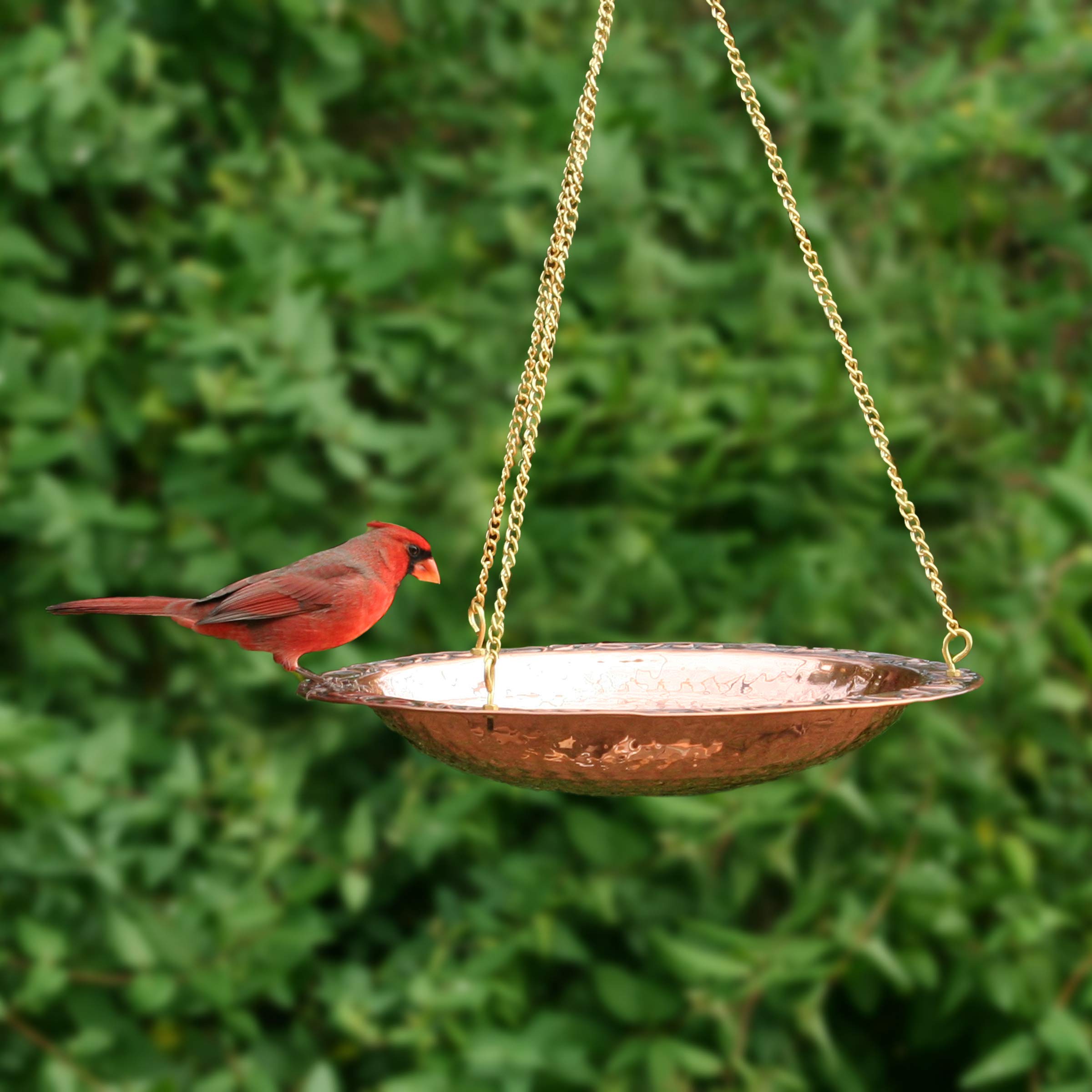 Good Directions Vogeltränke aus reinem Kupfer, zum Aufhängen, 34,3 cm Durchmesser, mit Messingkette, Vogelfutterstation