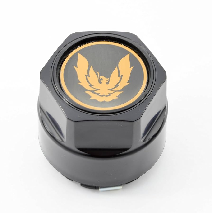 Amazon.com: General Motors One New GM Licensed 82-92 Pontiac