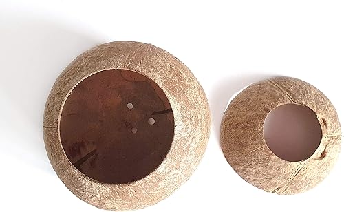 Miniatura 7 de Rainforest Bowls Juego de 2 macetas de coco con pedestal con orificio de drenaje, perfectas para suculentas, flores, plantas pequeñas, jardines