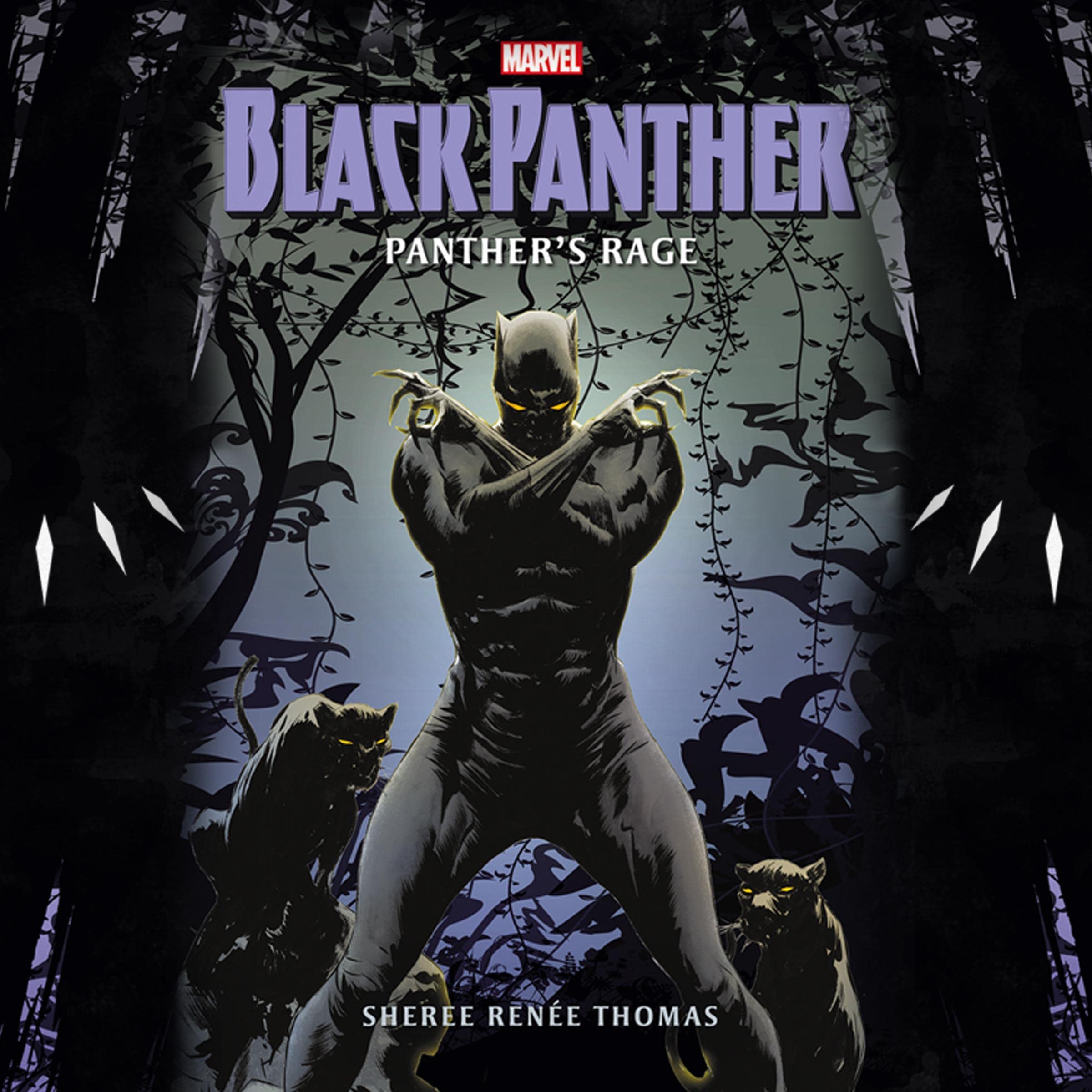 Cover art for Black Panther: Panther's Rage