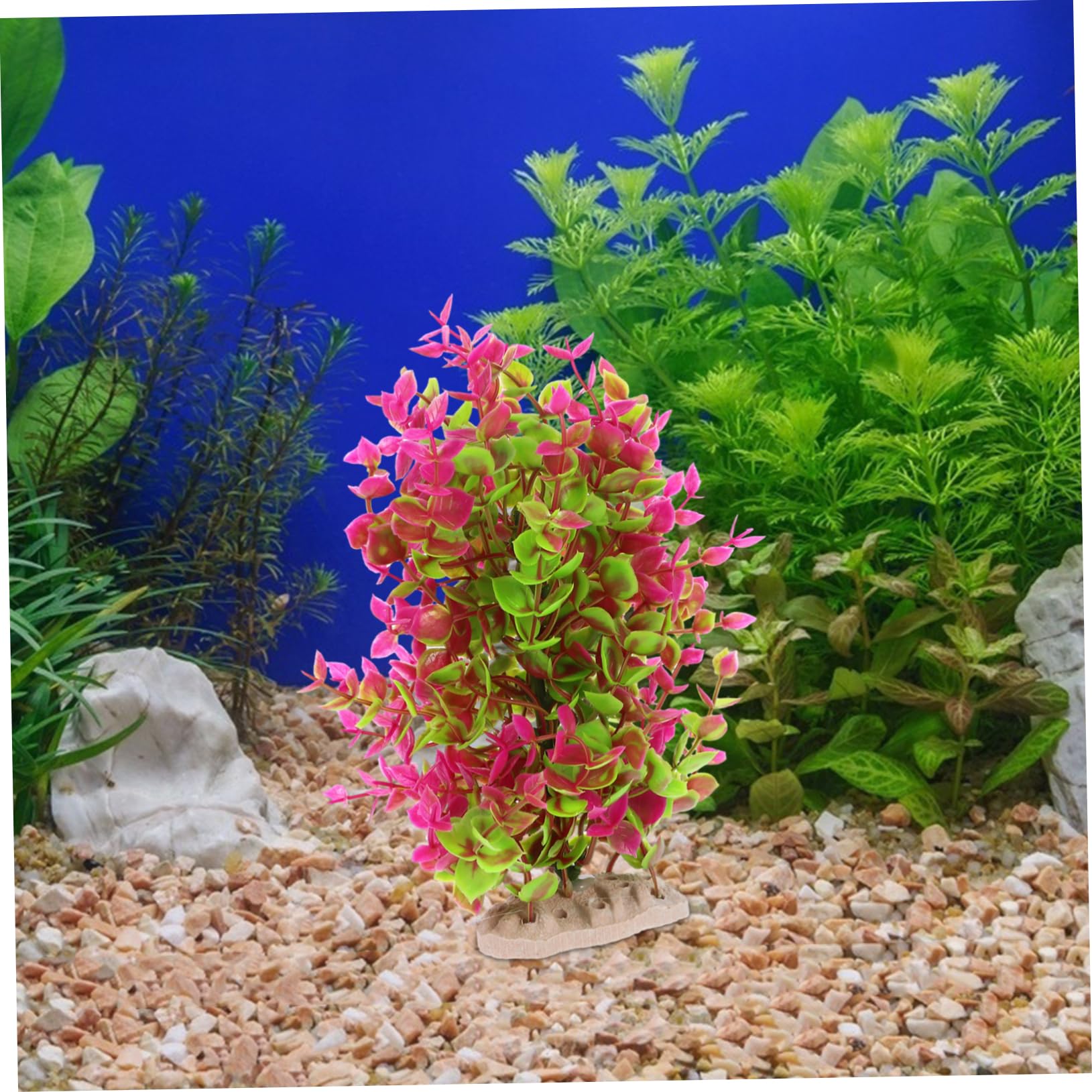 BESPORTBLE 5stücke Künstliche Wasserpflanzen Für Aquarien Stabile Kunststoff-Dekoration Sicher Für Fische Langlebig Und Farbecht Landschaftsgestaltung Für Ihr Fischbecken