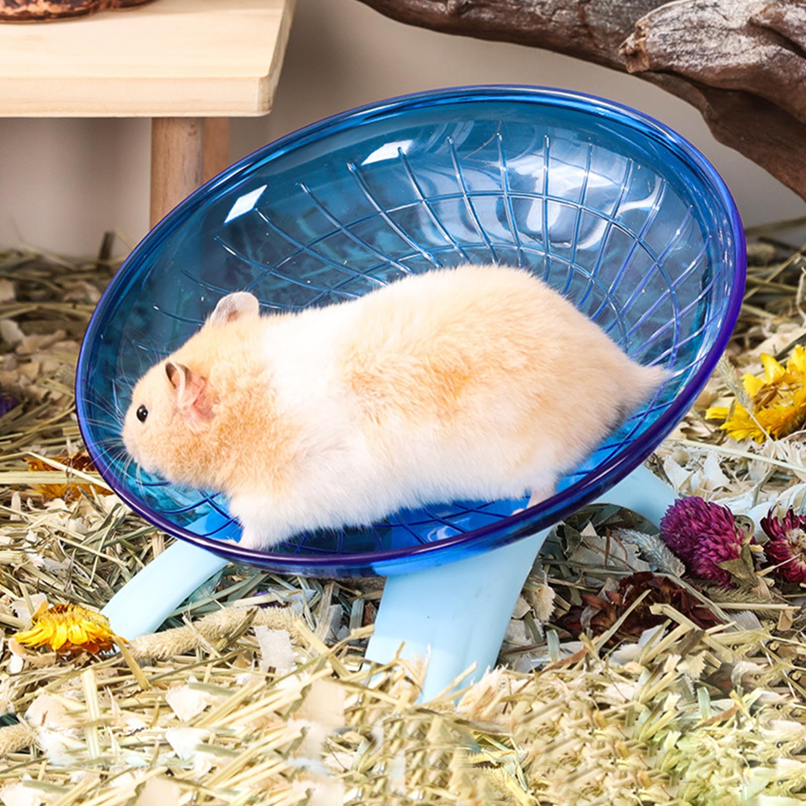 Hamster Flying Saucer Silent Running Wheel, 12 Inch, Suitable for Guinea Pigs, Hamsters, Hedgehogs and Other Small Animals to Ensure Safe Exercise（Blue） - image 3