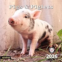 Vista 14 de Calendario de pared 2026, Calendario 2026, noviembre 2025 - diciembre 2026, calendario de pared de pájaros cantantes, 12 x 24 pulgadas abierto