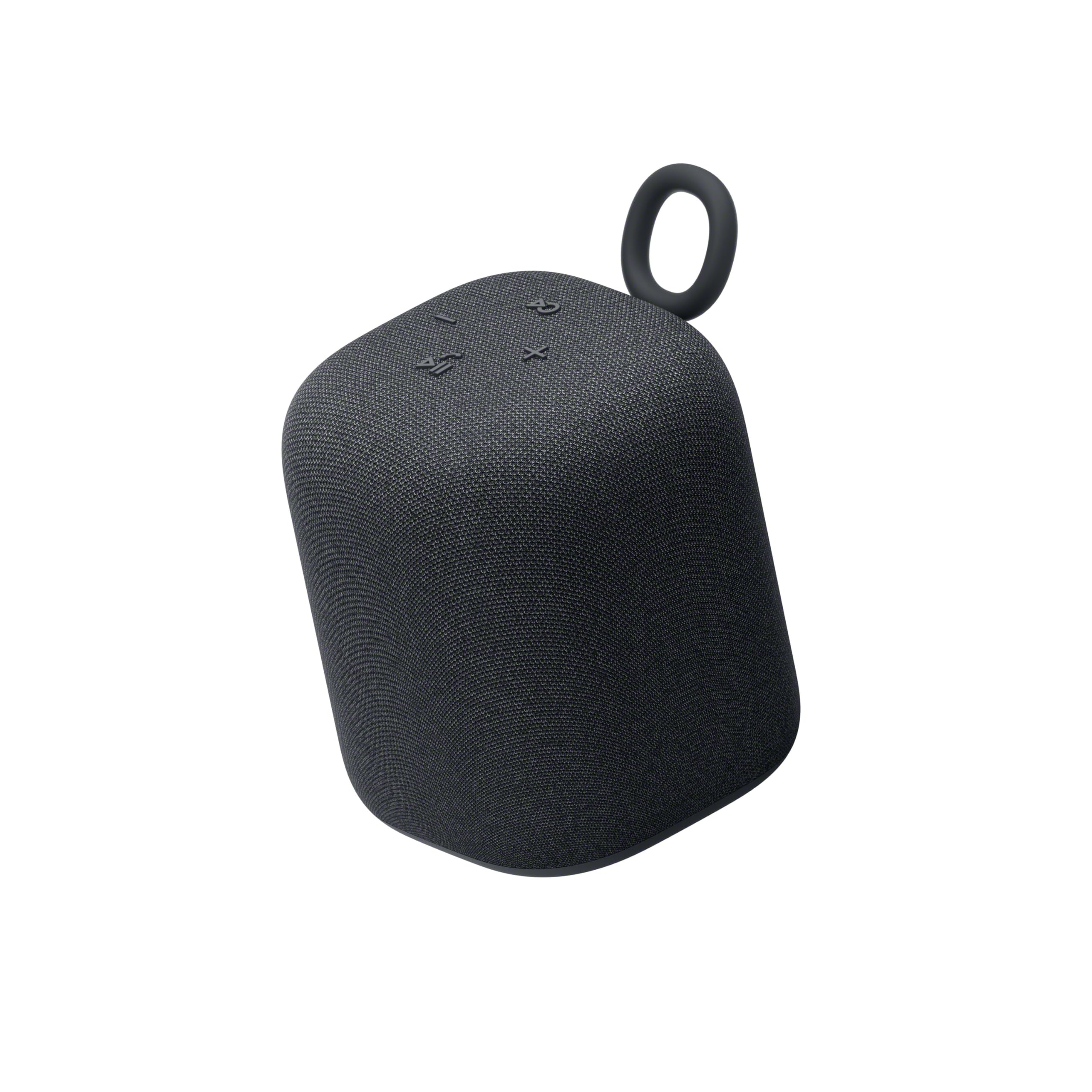 Sony Enceinte LinkBuds - Enceinte Portable sans Fil Bluetooth, IPX4, Résistante à l'eau, Batterie de 25 Heures, Qualité d'Appel Clair, Outdoor, Voyage - Noir