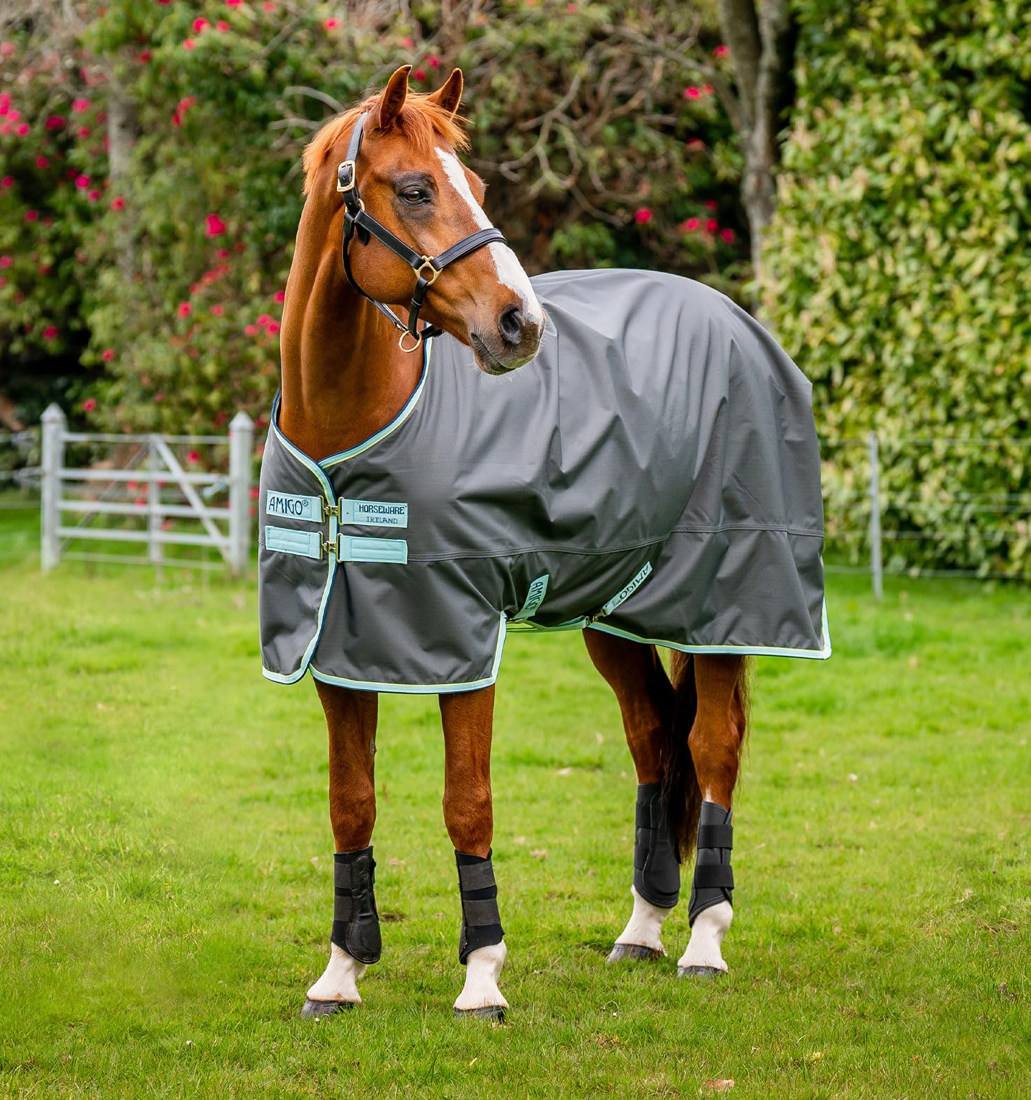 Horseware® Amigo® Hero Ripstop - Manta para caballo (50 g, ligera)