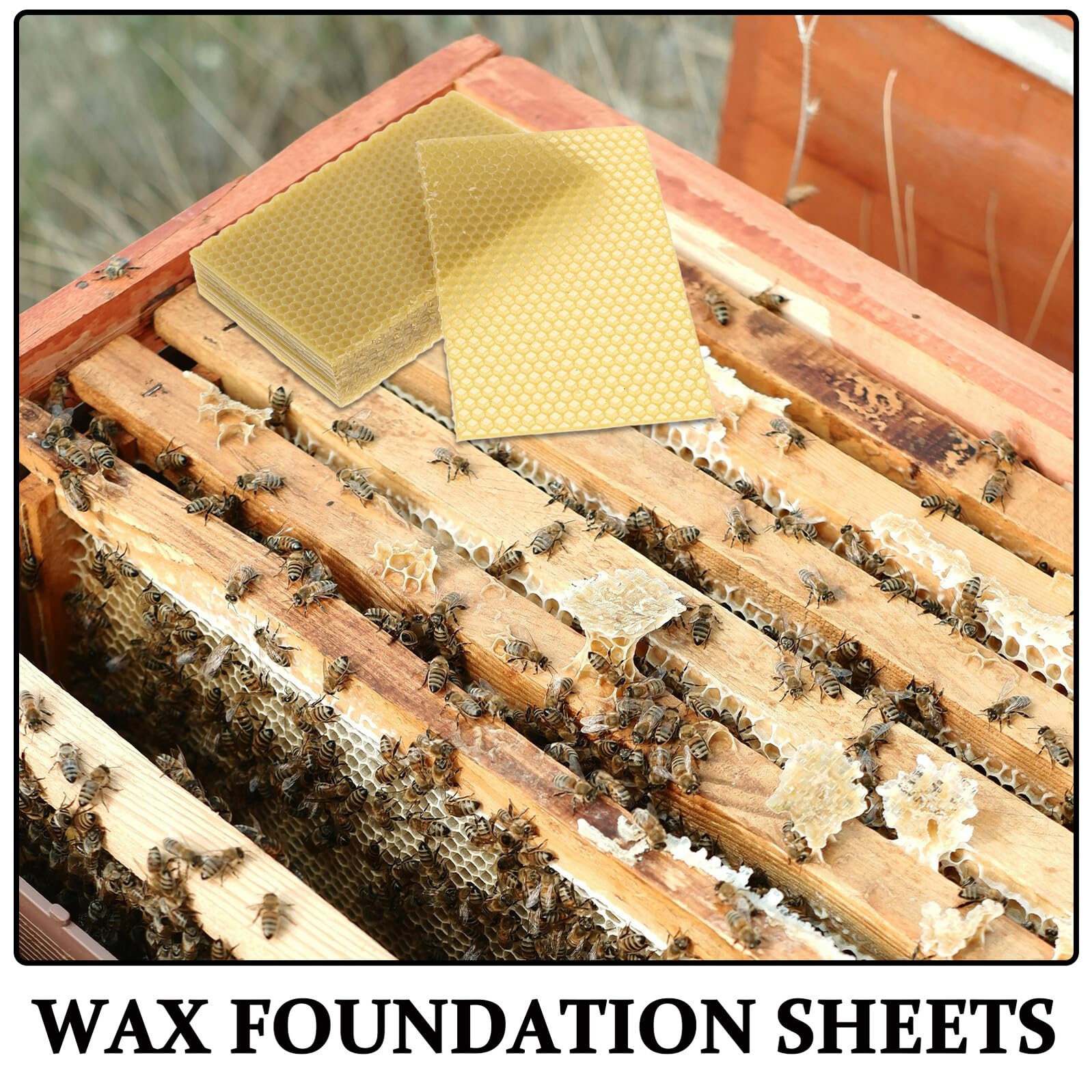 SHINEOFI 10 Láminas de Cera de Abeja Natural para Colmenas Tamaño Mediano Base para Marcos Profundos Adecuado para Apicultura y Bricolaje Cera para Construcción de Panales y