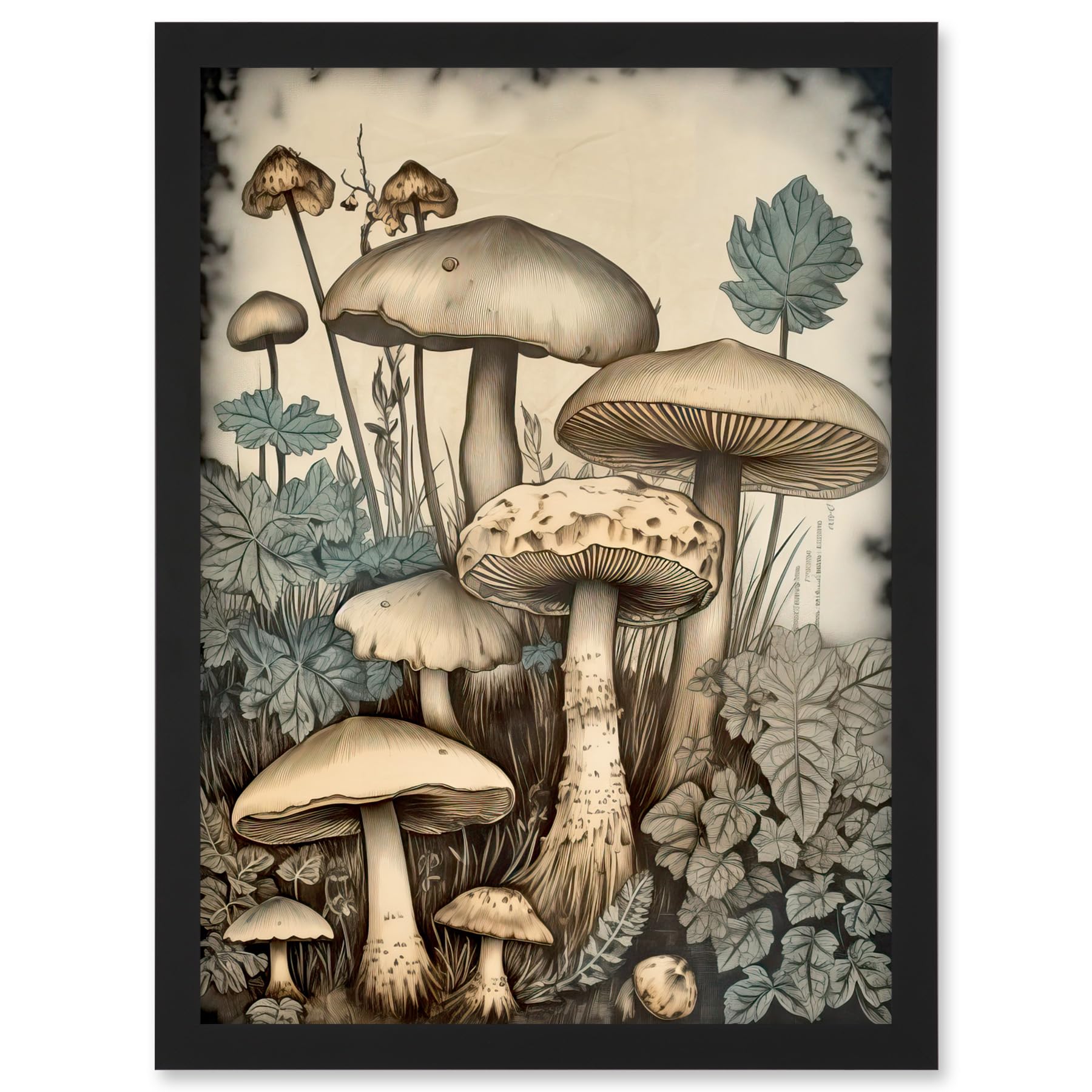Artery8 Mushroom Fungi Watercolour Vintage Cottagecore Aesthetic Rustic Decor Artwork Framed A3 Wall Art Print