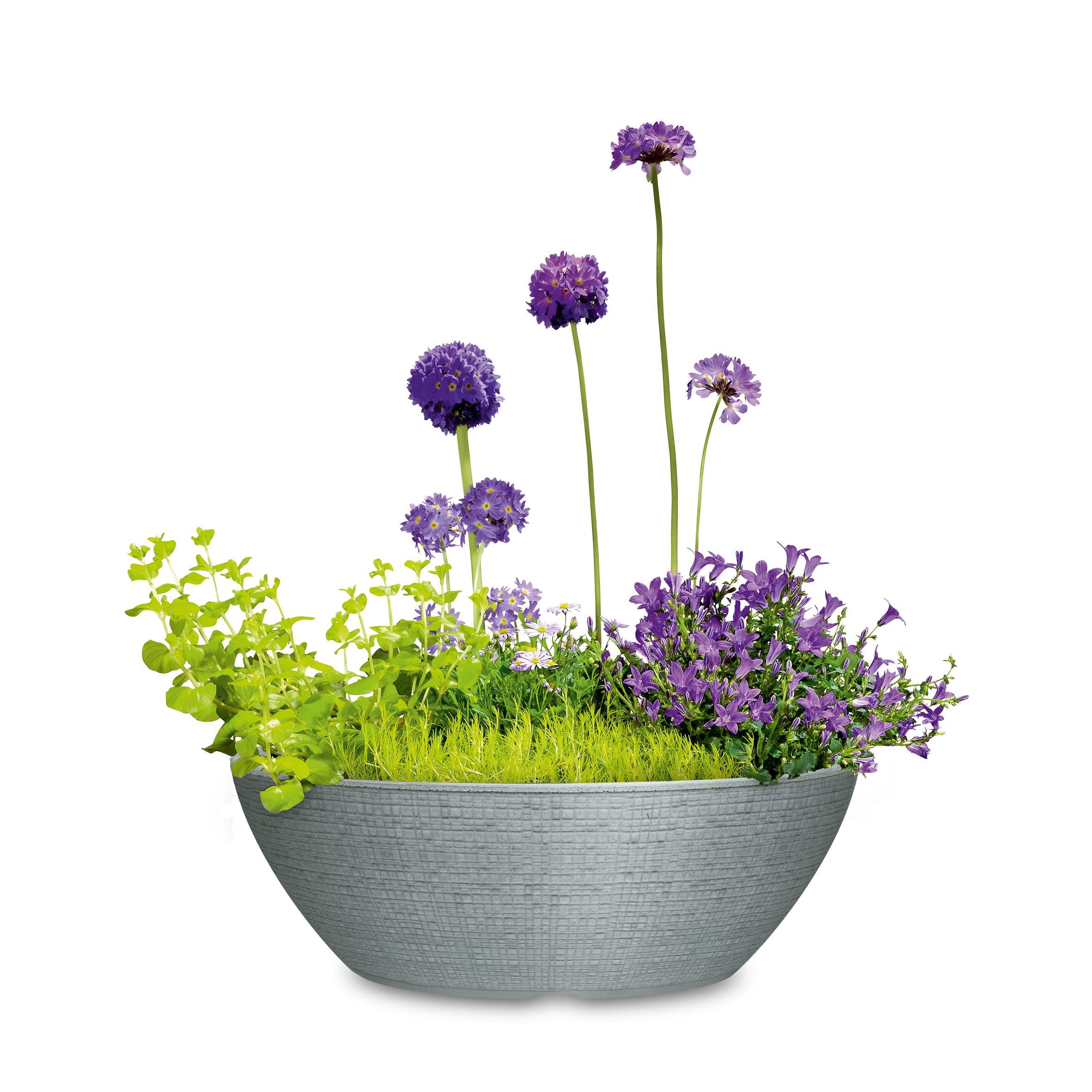 Scheurich Bac à plantes ovale Barceo Jardinière 60, pot de fleurs, bac à plantes en plastique recyclé, garantie 10 ans, pour une utilisation en extérieur